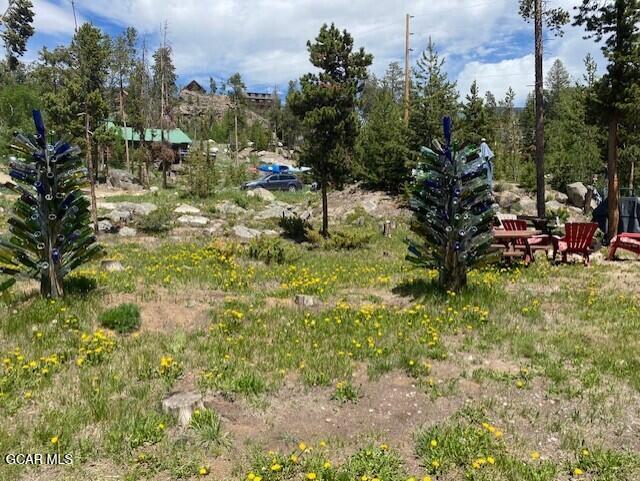 1124 Mountain Avenue Grand Lake CO 80447
