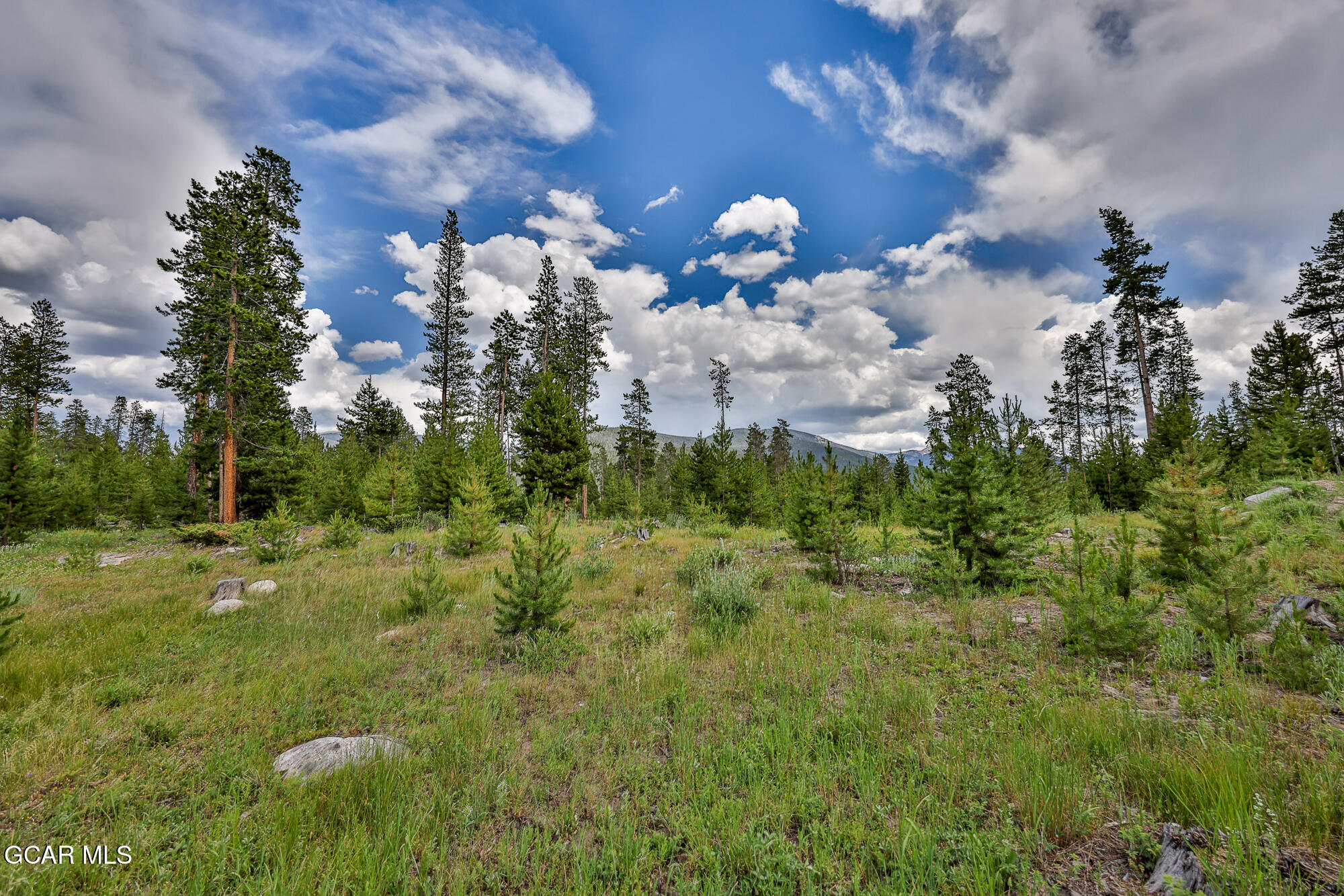 500 GCR 466 Grand Lake CO 80447