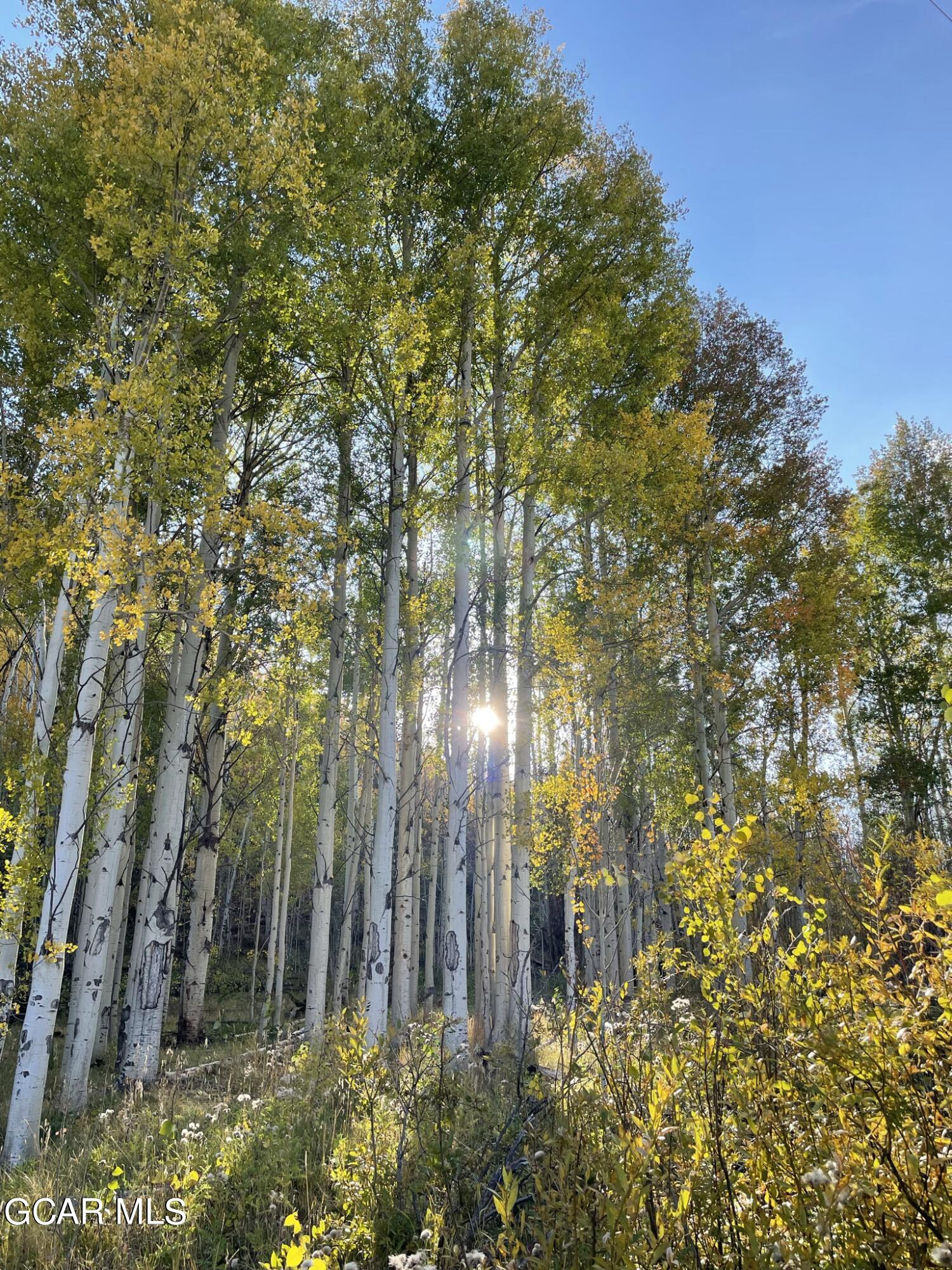 2611 &1903 GCR 41 Granby CO 80446