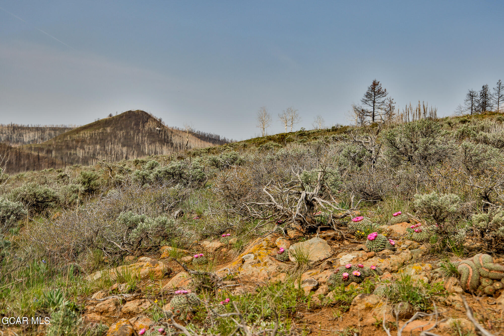 2611 &1903 GCR 41 Granby CO 80446