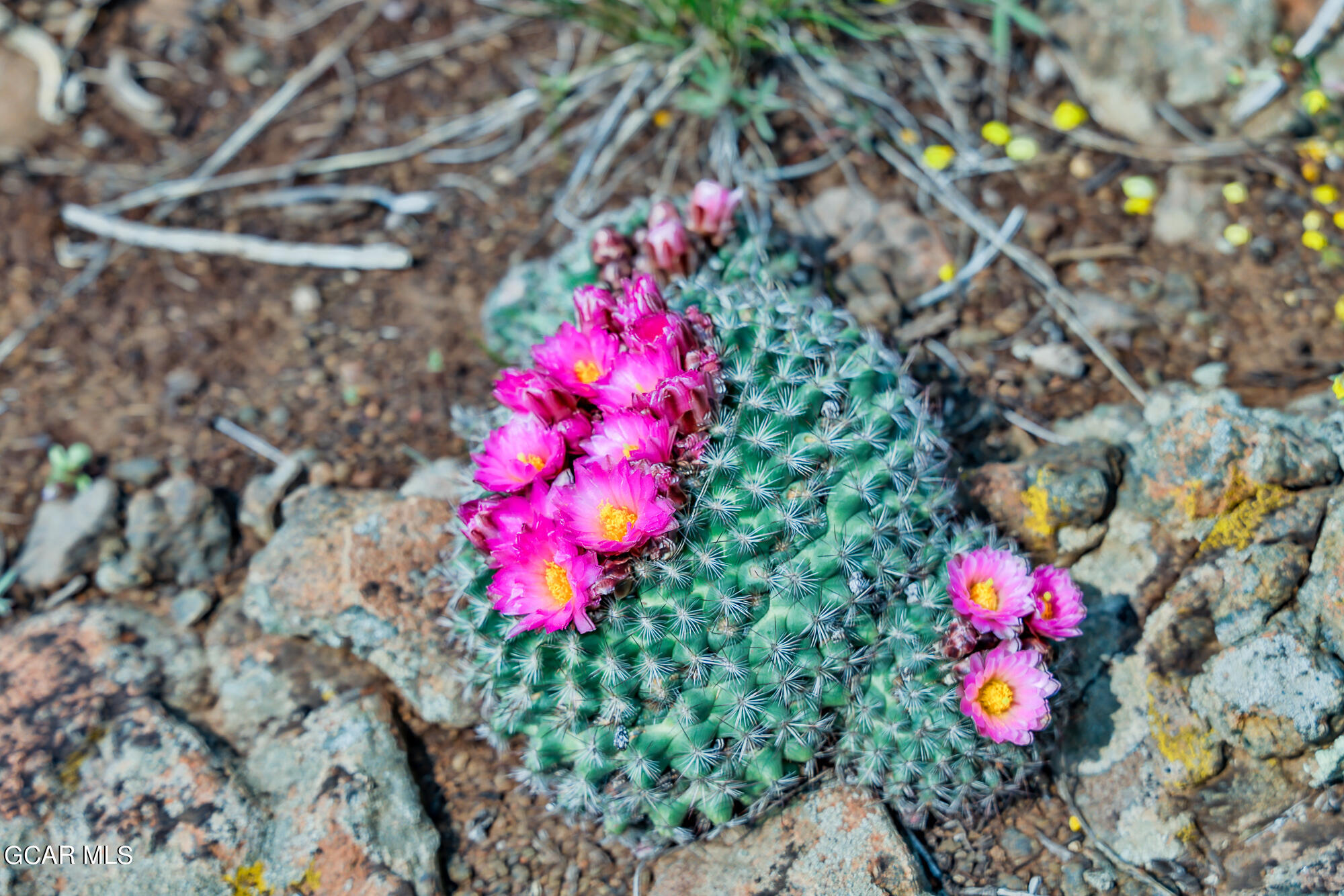 2611 &1903 GCR 41 Granby CO 80446