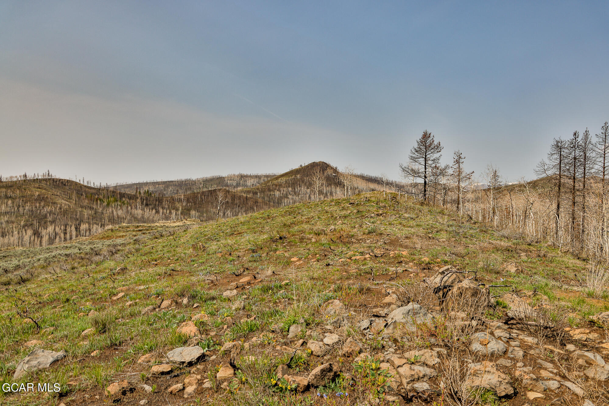 2611 &1903 GCR 41 Granby CO 80446