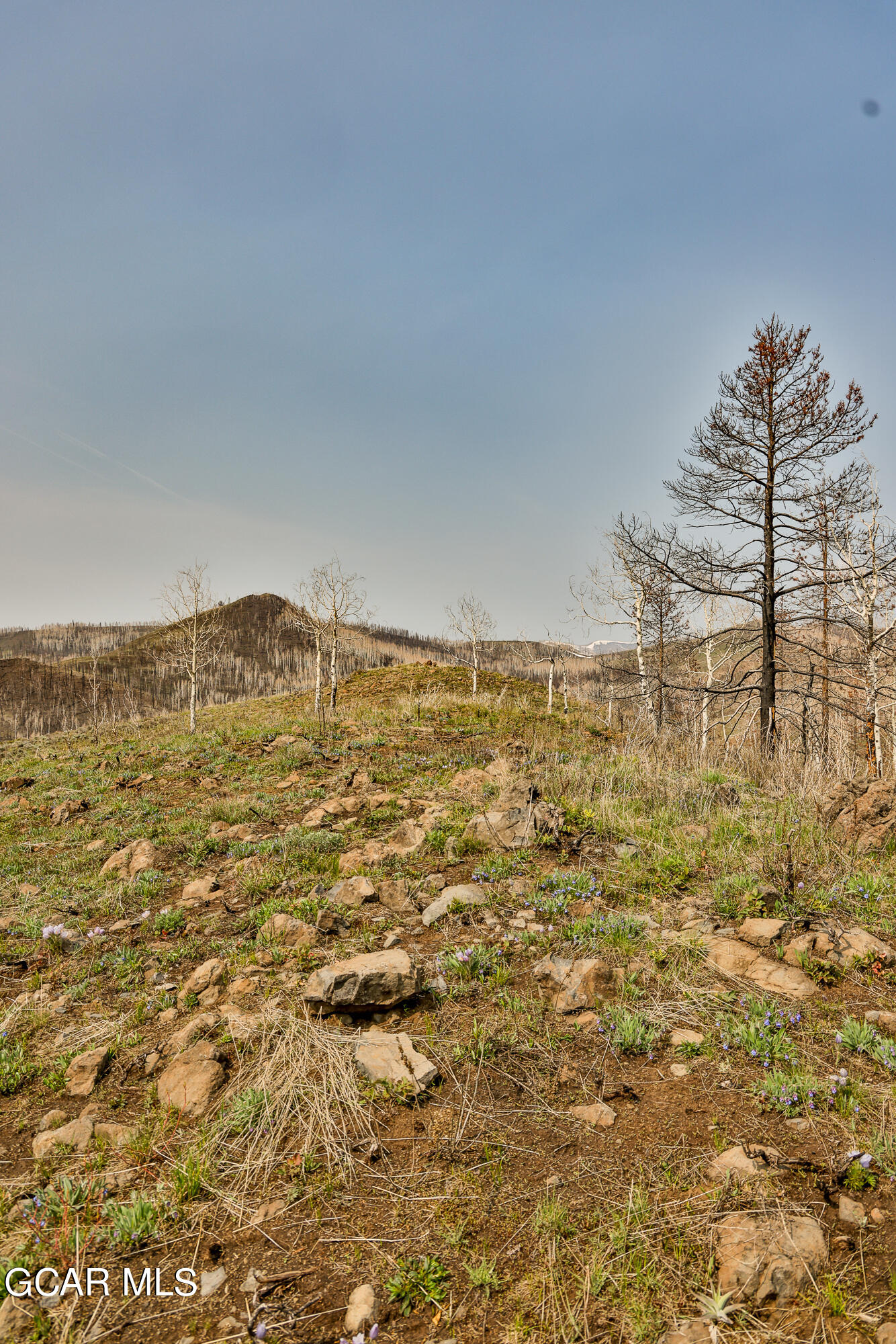 2611 &1903 GCR 41 Granby CO 80446