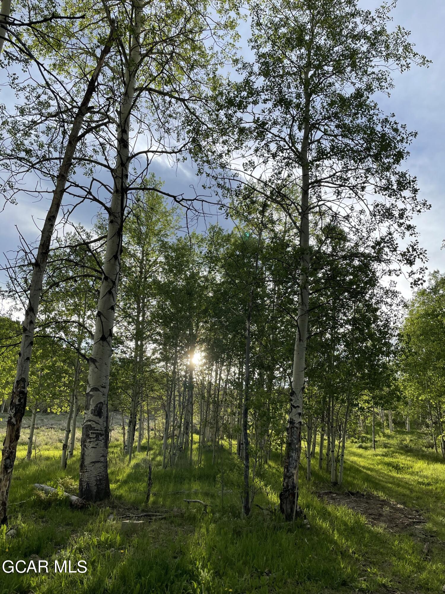 2611 &1903 GCR 41 Granby CO 80446