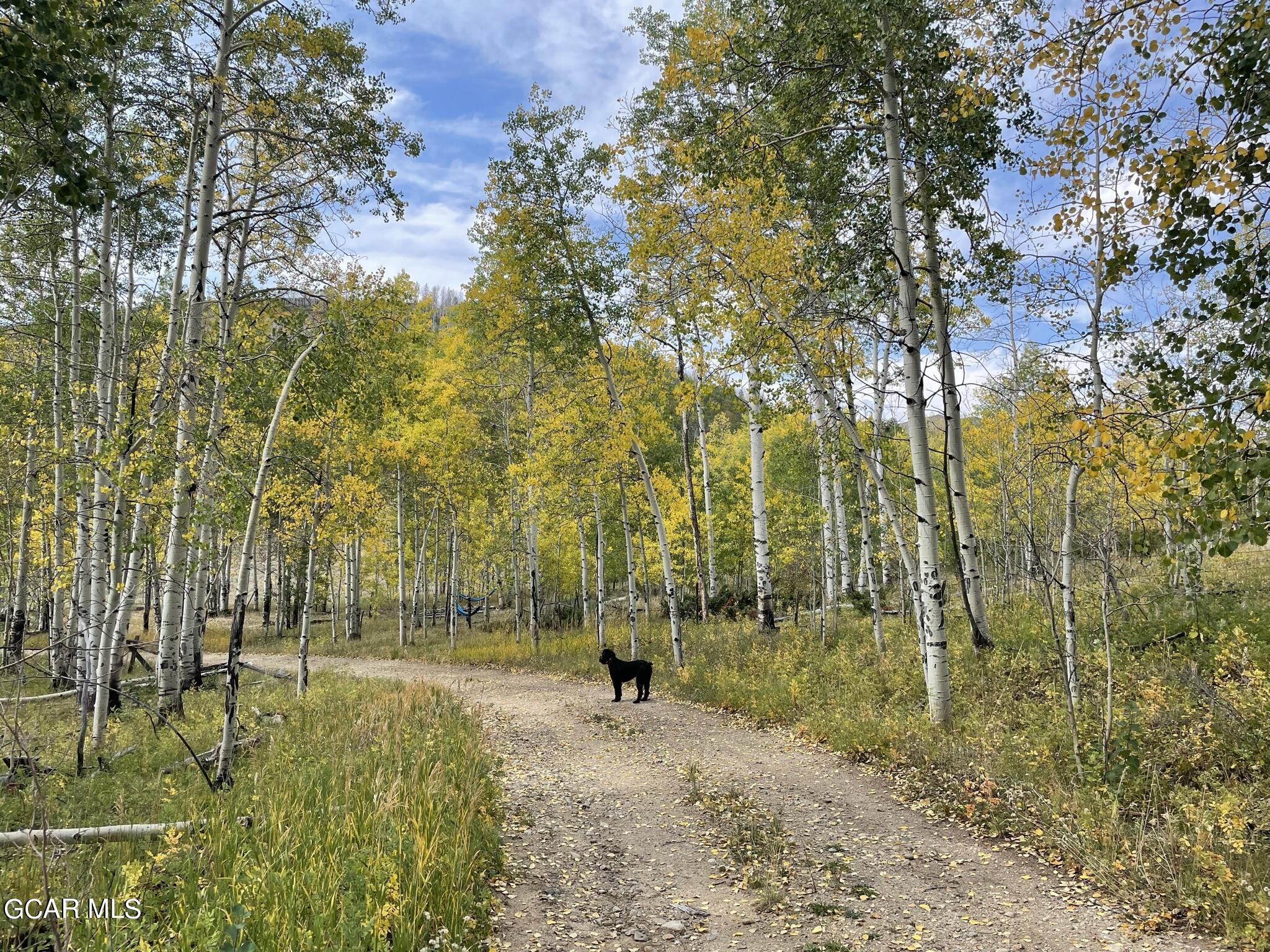 2611 &1903 GCR 41 Granby CO 80446