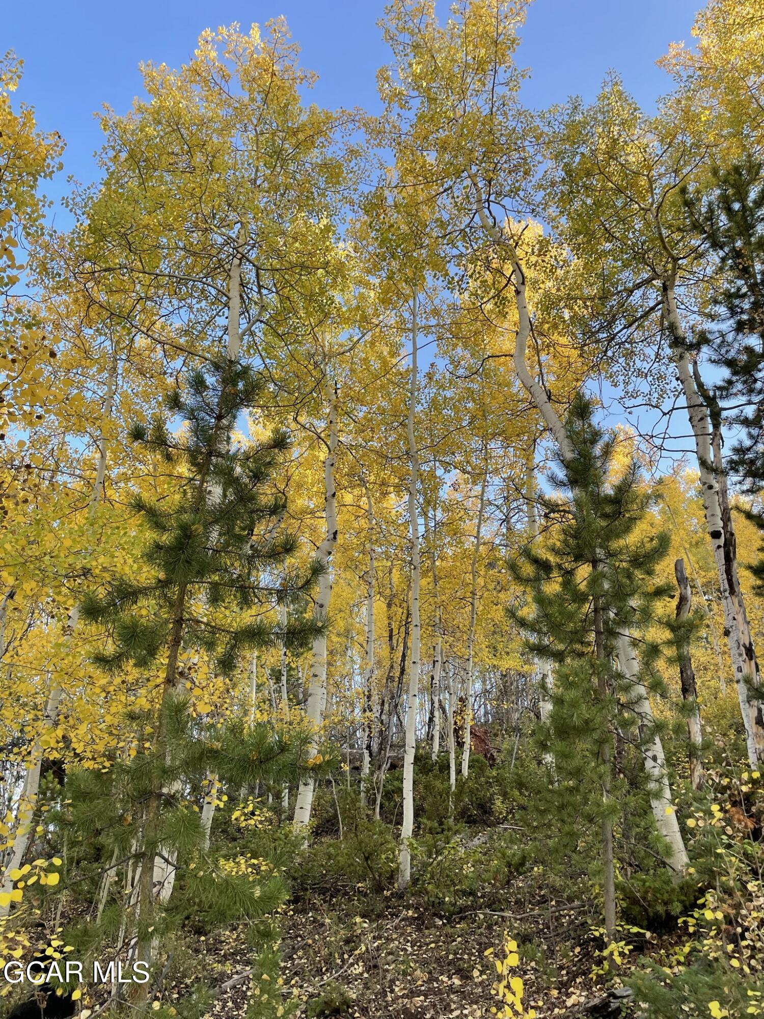 2611 &1903 GCR 41 Granby CO 80446