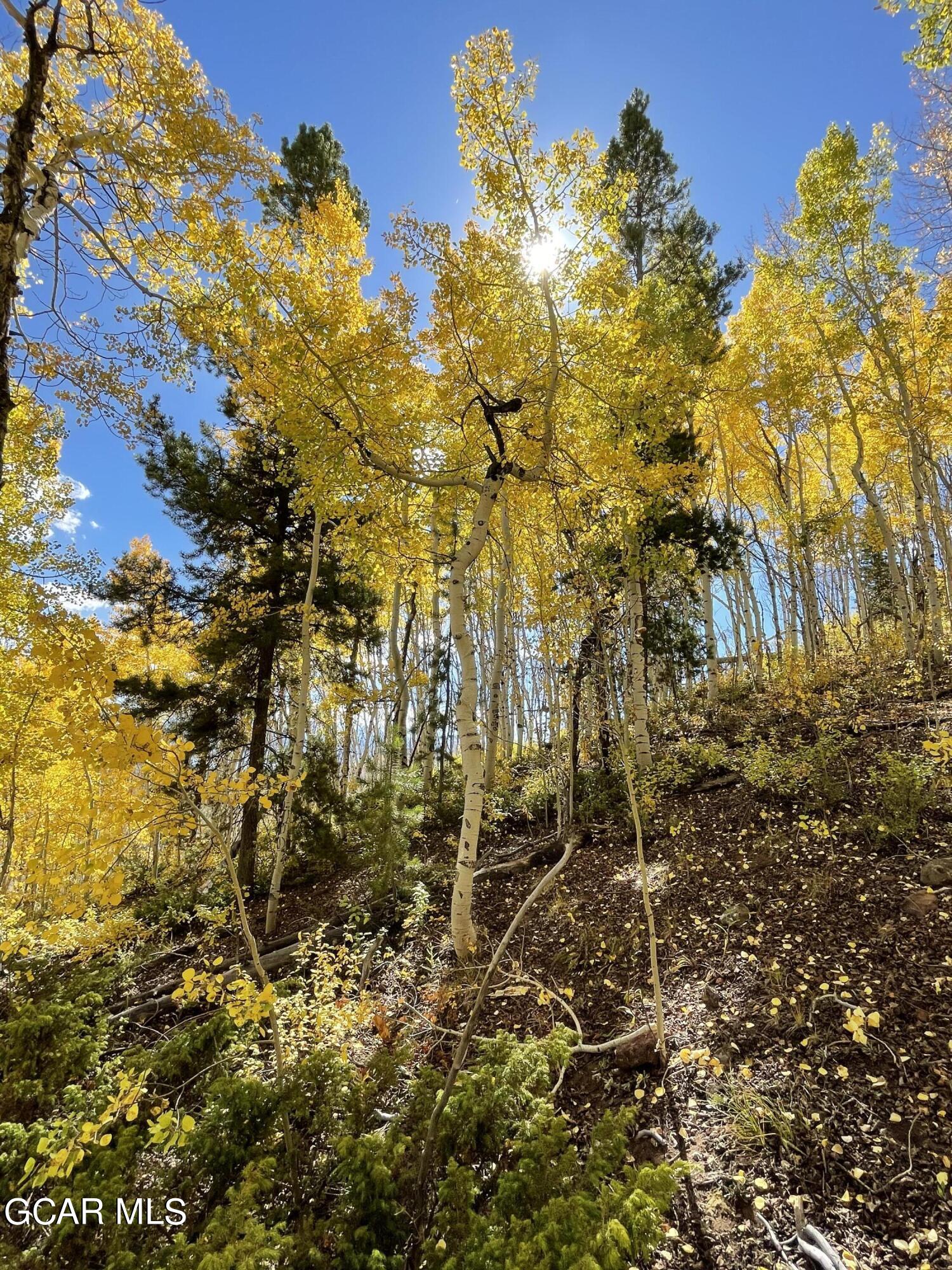 2611 &1903 GCR 41 Granby CO 80446