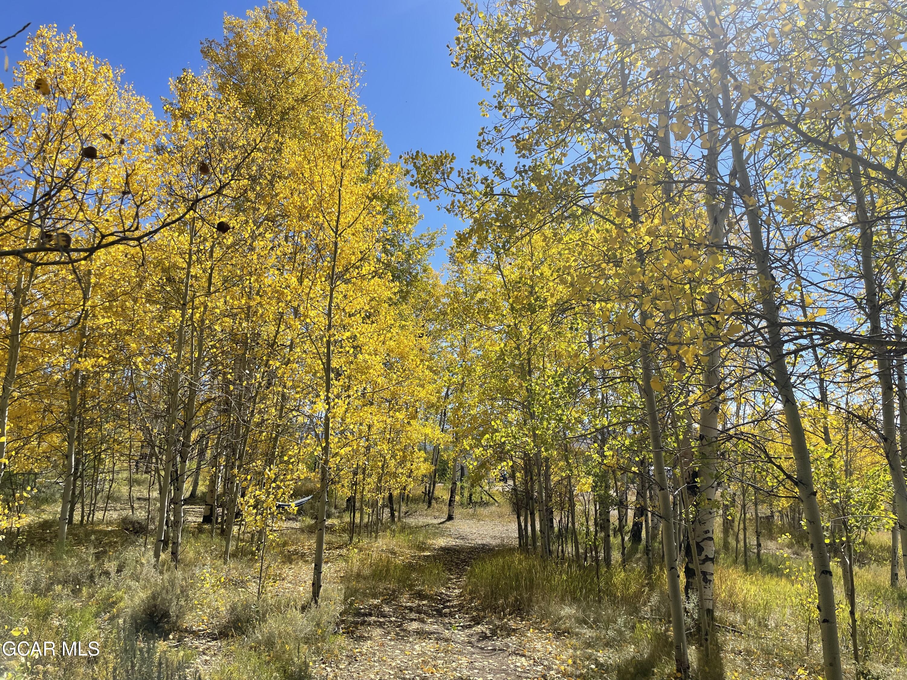 2611 &1903 GCR 41 Granby CO 80446