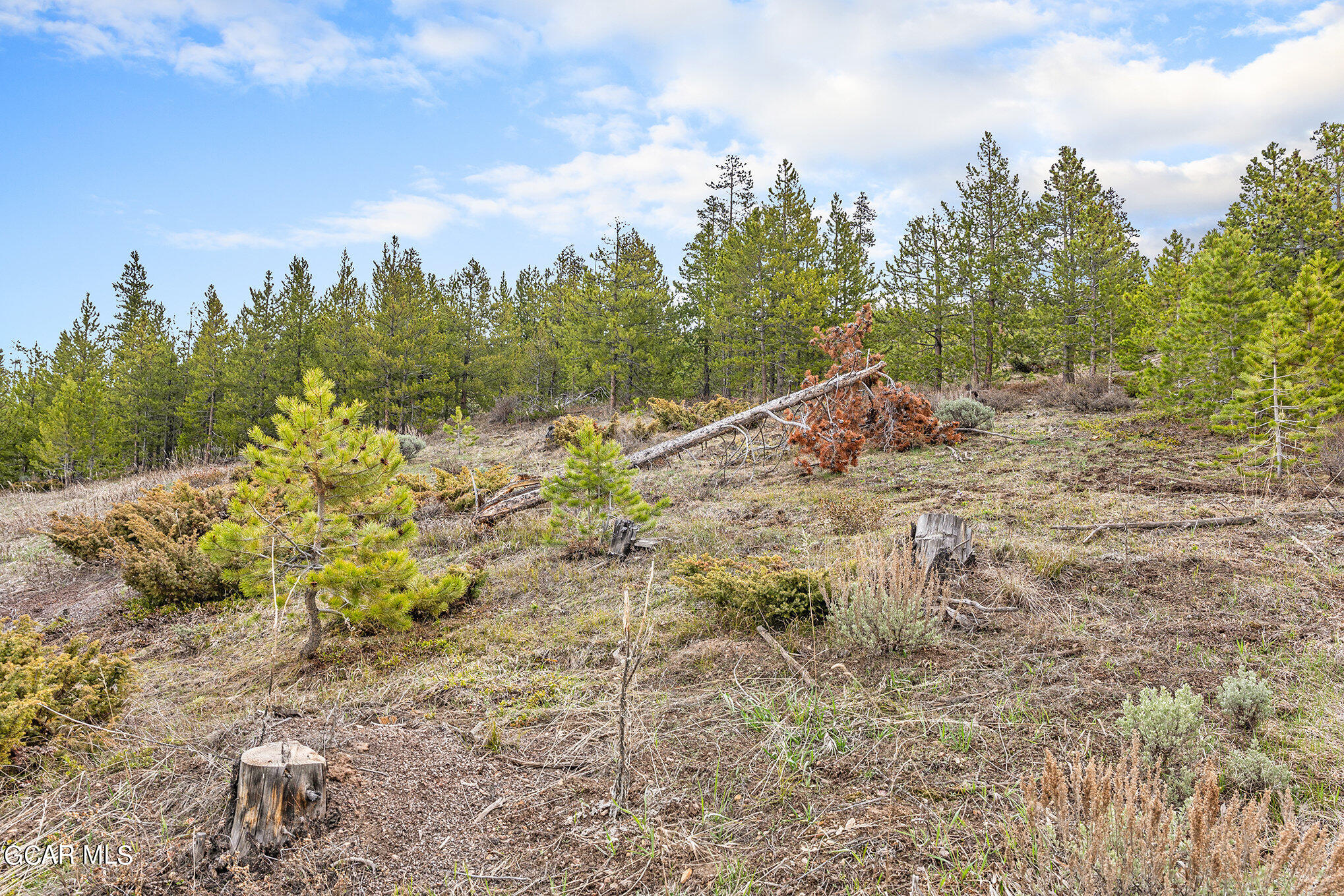 760 Shoshoni Lane Granby CO 80446