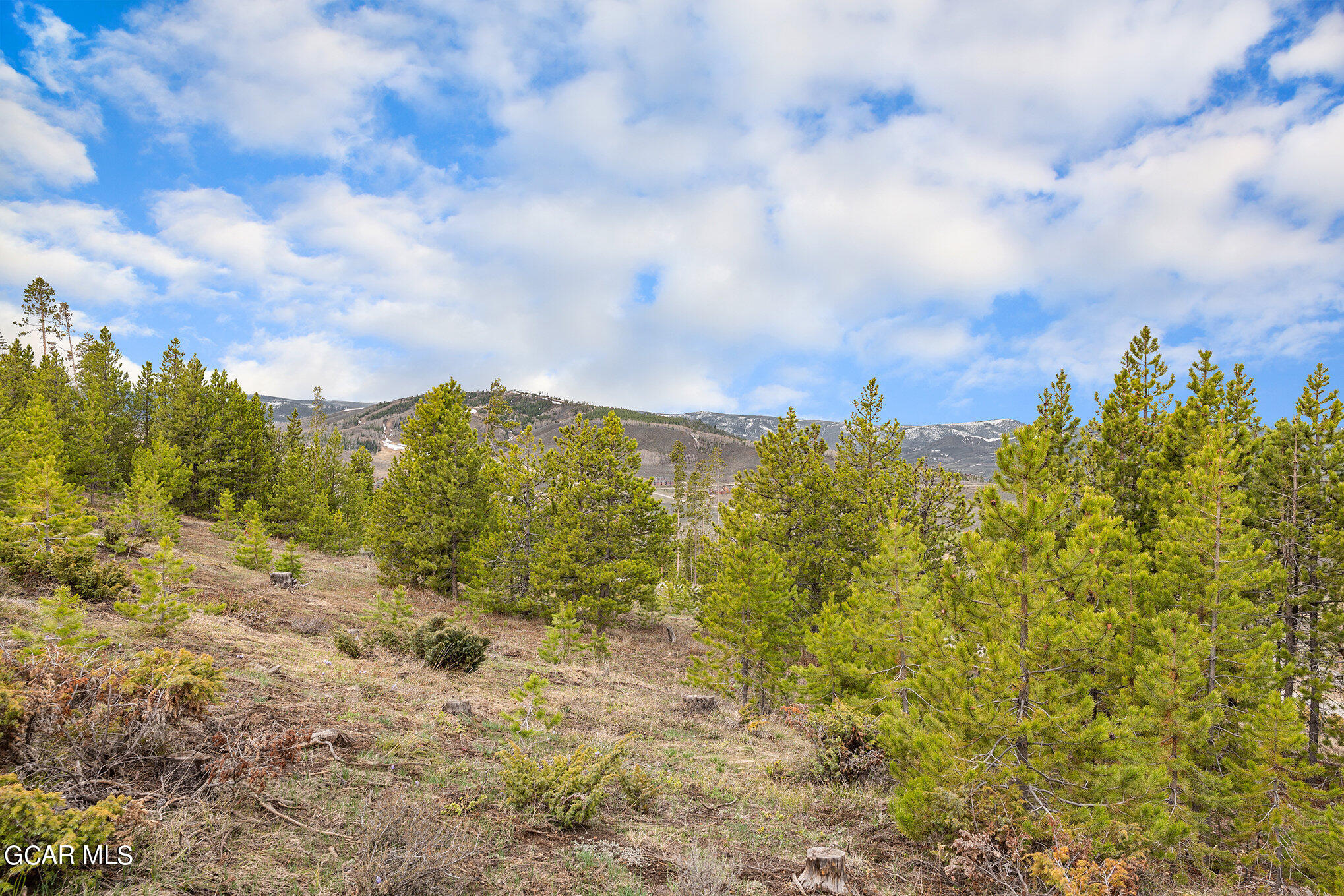 760 Shoshoni Lane Granby CO 80446