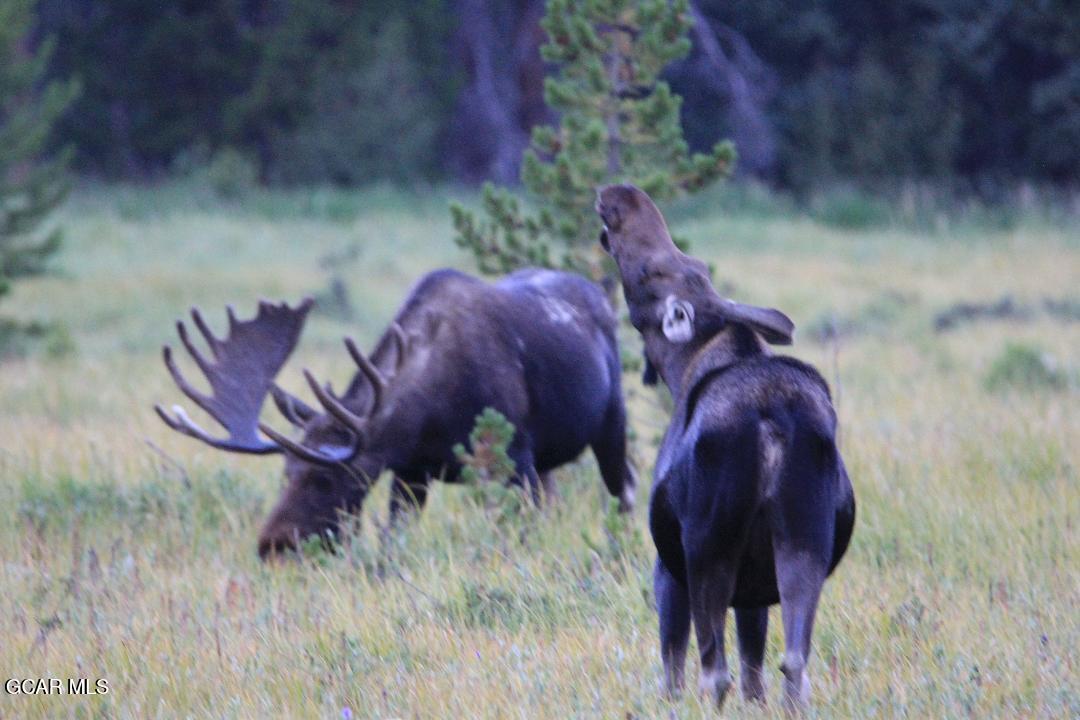 148 GCR 4626 Grand Lake CO 80447