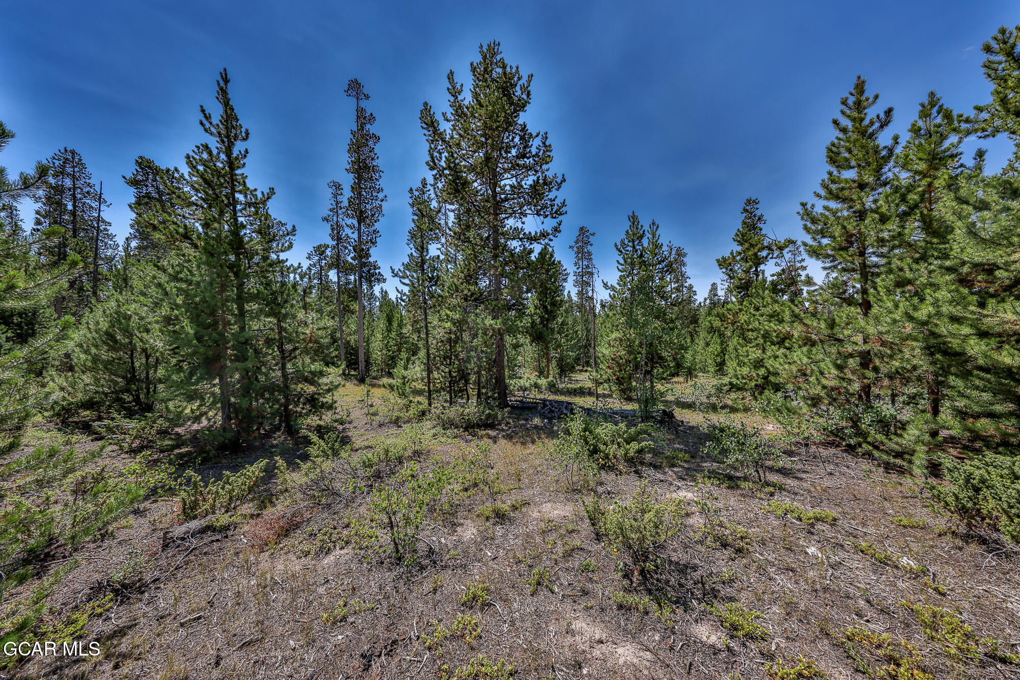 148 GCR 4626 Grand Lake CO 80447