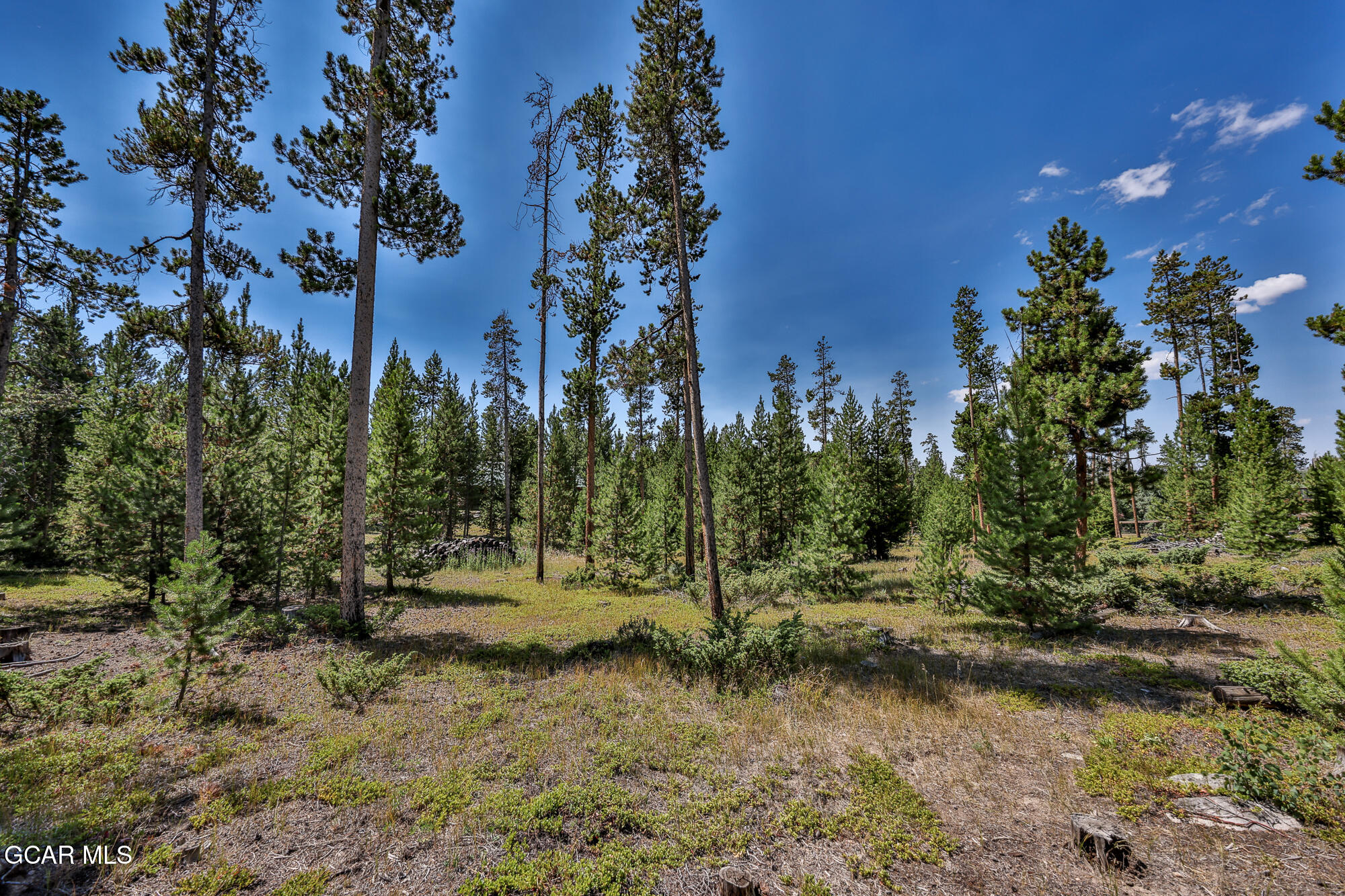 148 GCR 4626 Grand Lake CO 80447