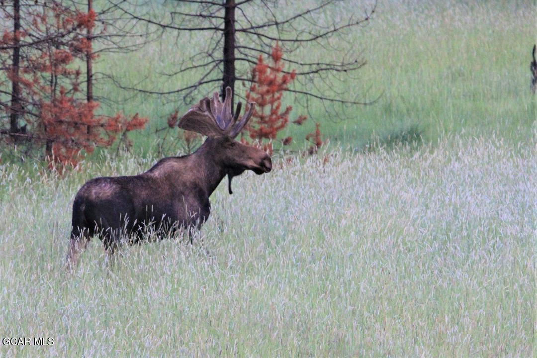 148 GCR 4626 Grand Lake CO 80447