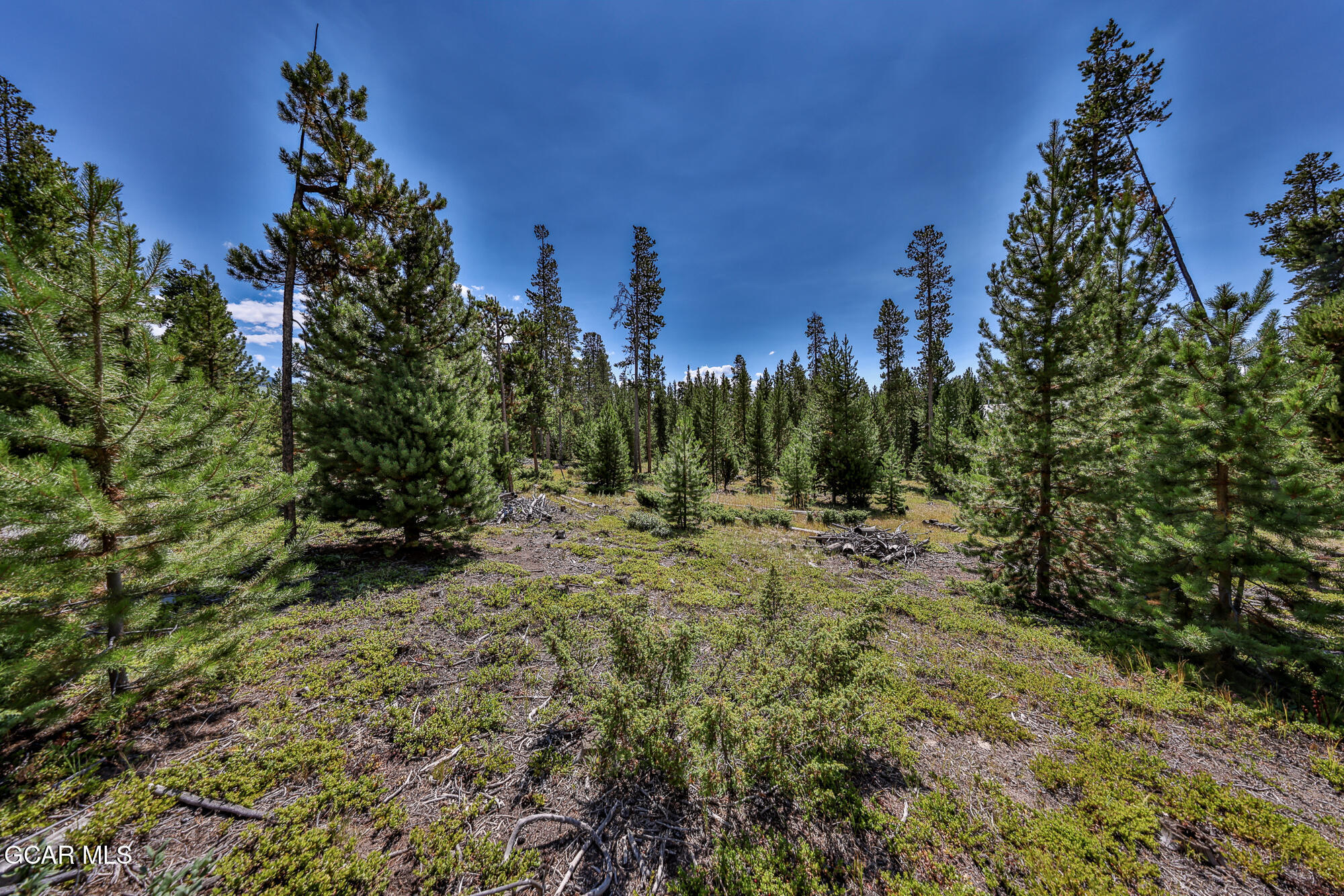 148 GCR 4626 Grand Lake CO 80447