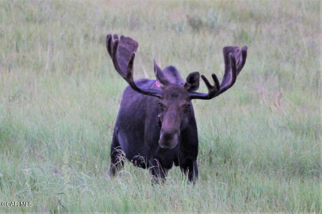 148 GCR 4626 Grand Lake CO 80447