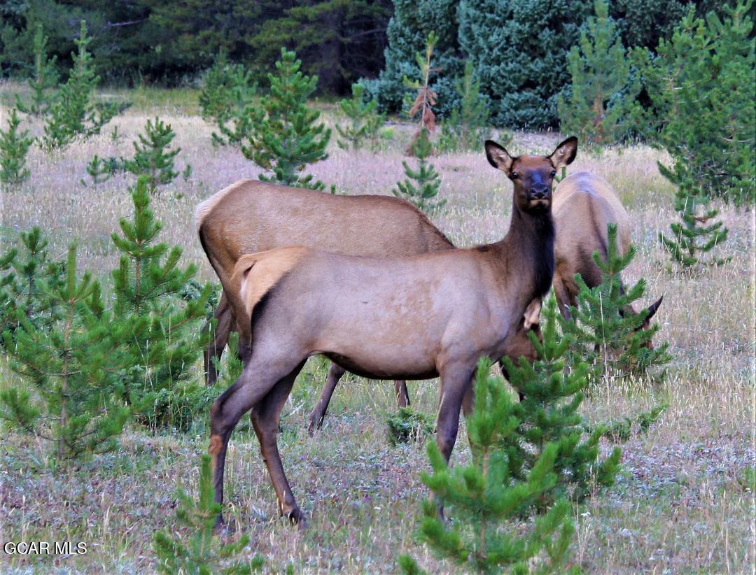 148 GCR 4626 Grand Lake CO 80447