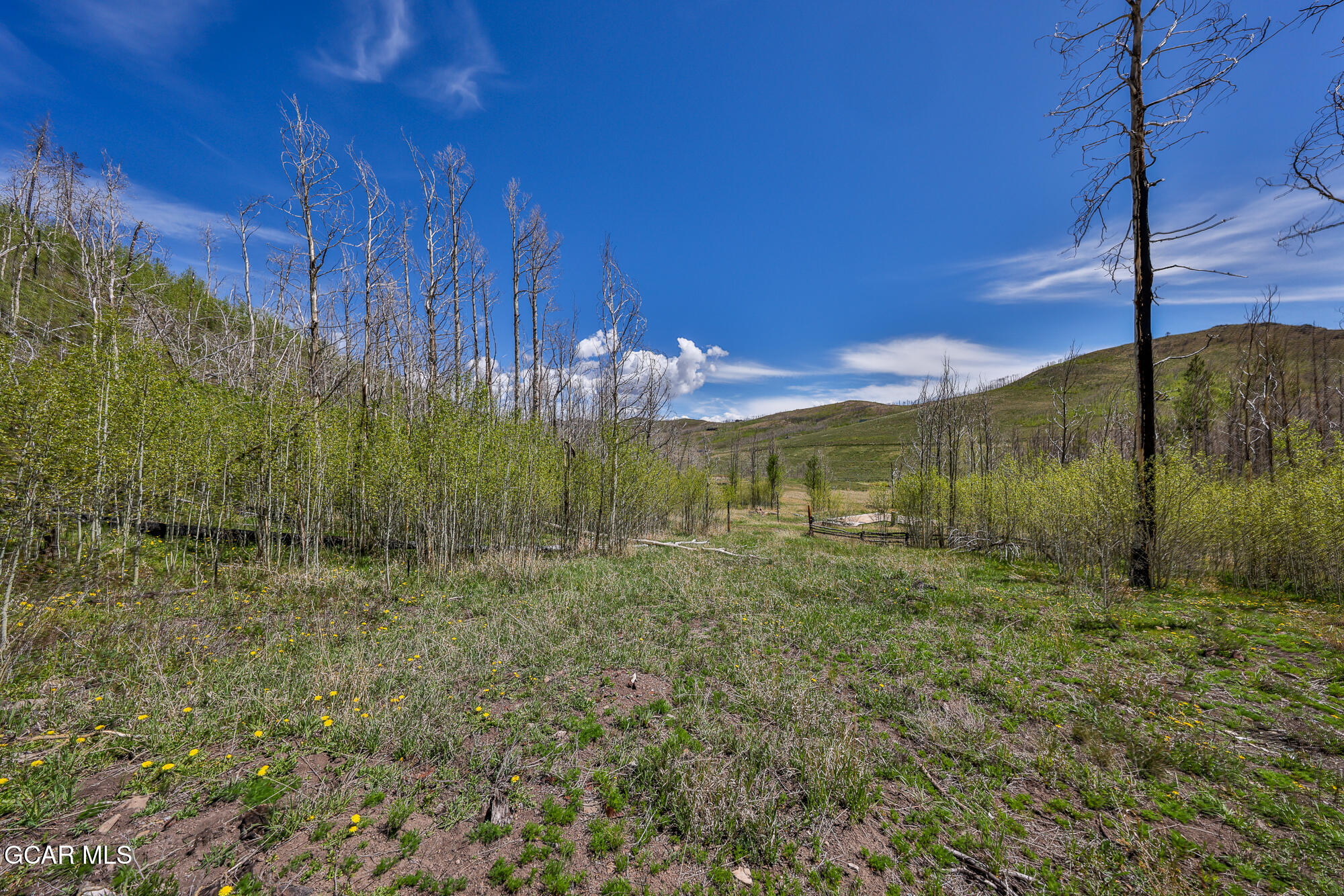 3863 & Tbd GCR 41 Granby CO 80446