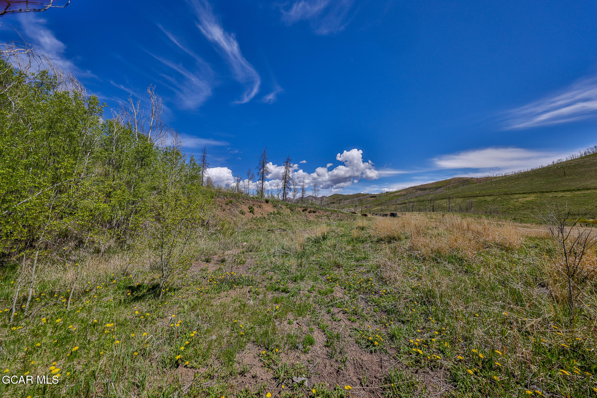 3863 & Tbd GCR 41 Granby CO 80446