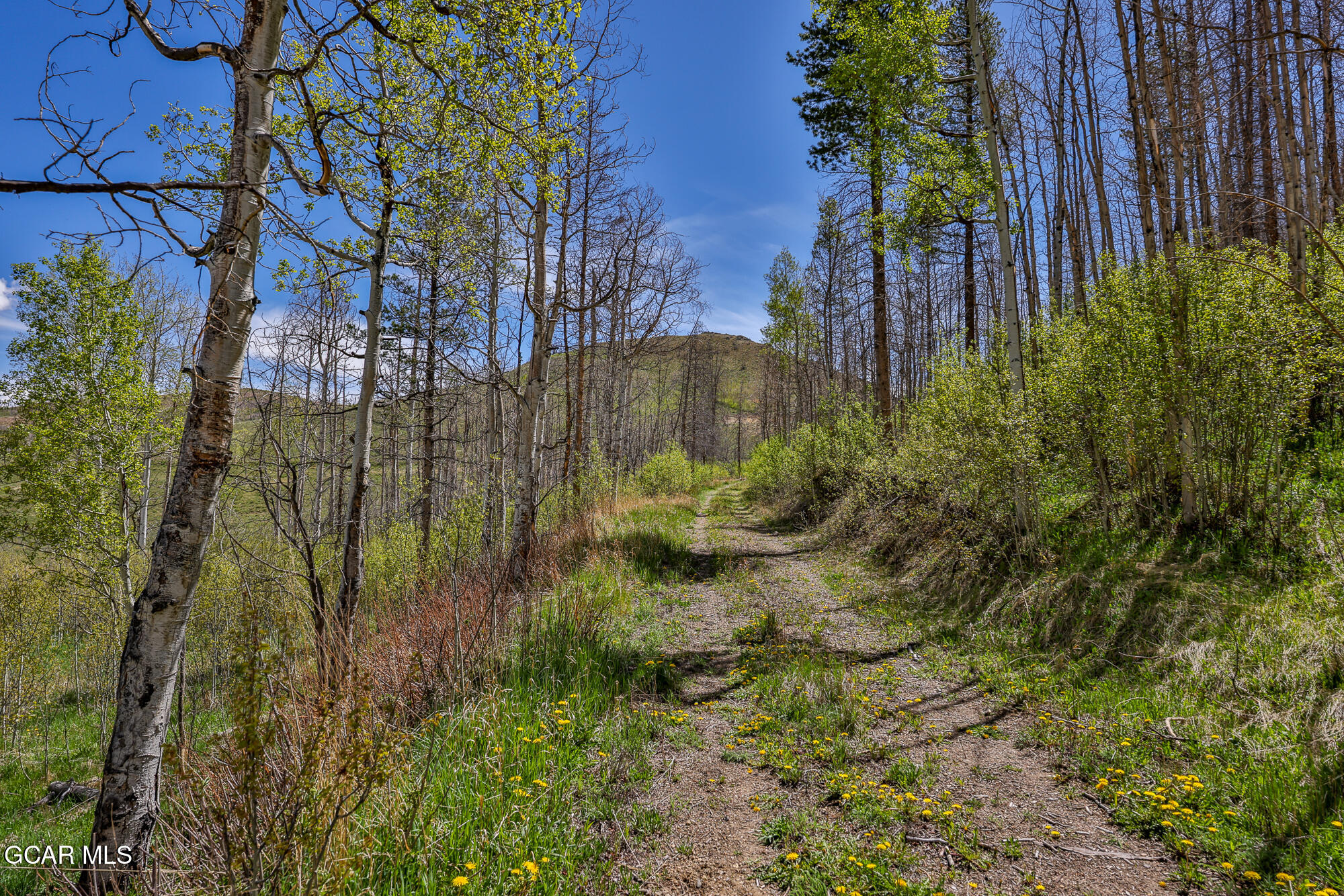 3863 & Tbd GCR 41 Granby CO 80446