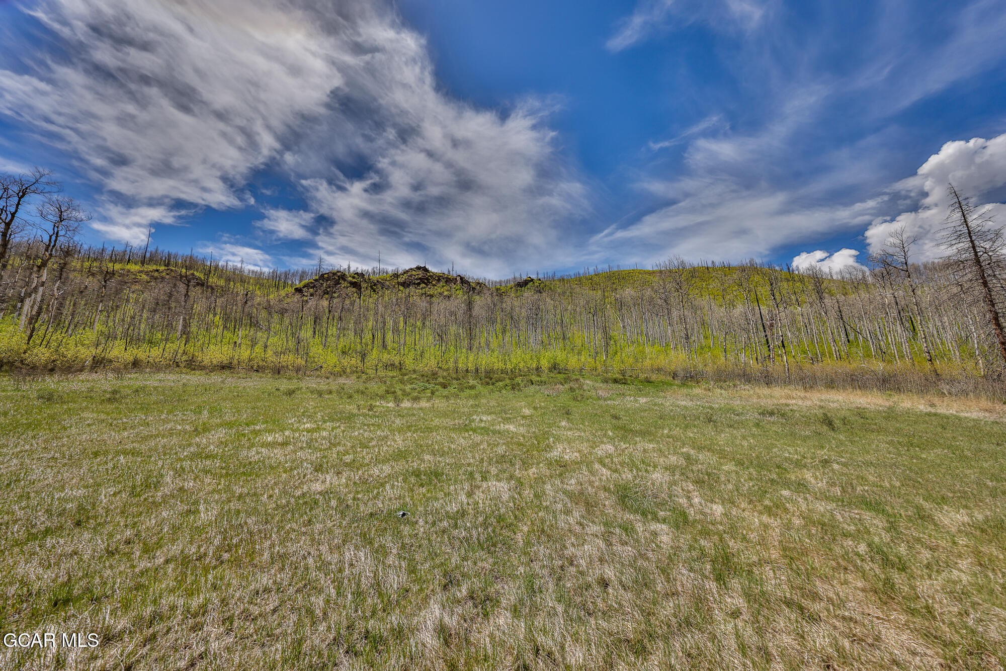3863 & Tbd GCR 41 Granby CO 80446