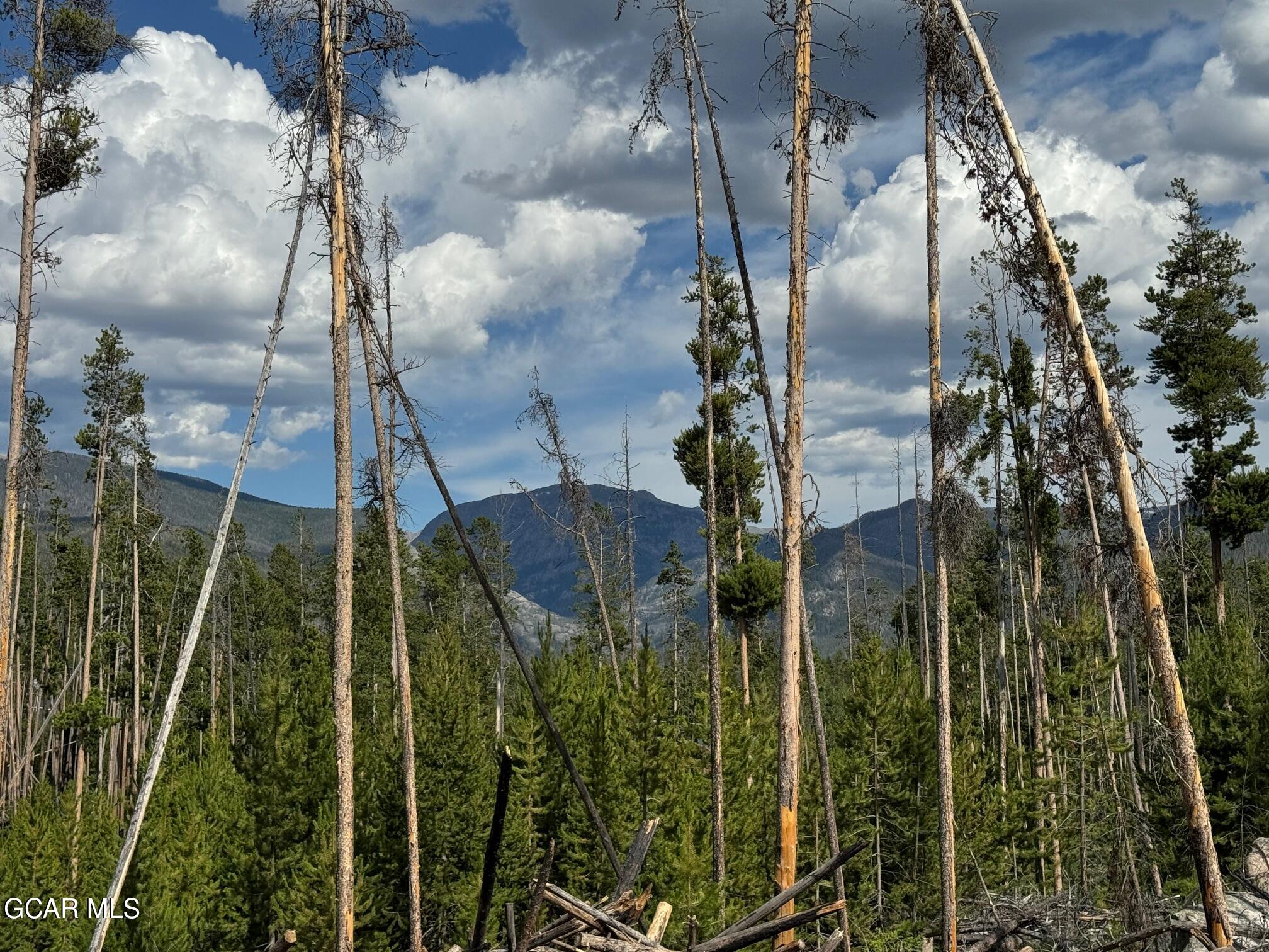 Tbd GCR 471 #2 Grand Lake CO 80447