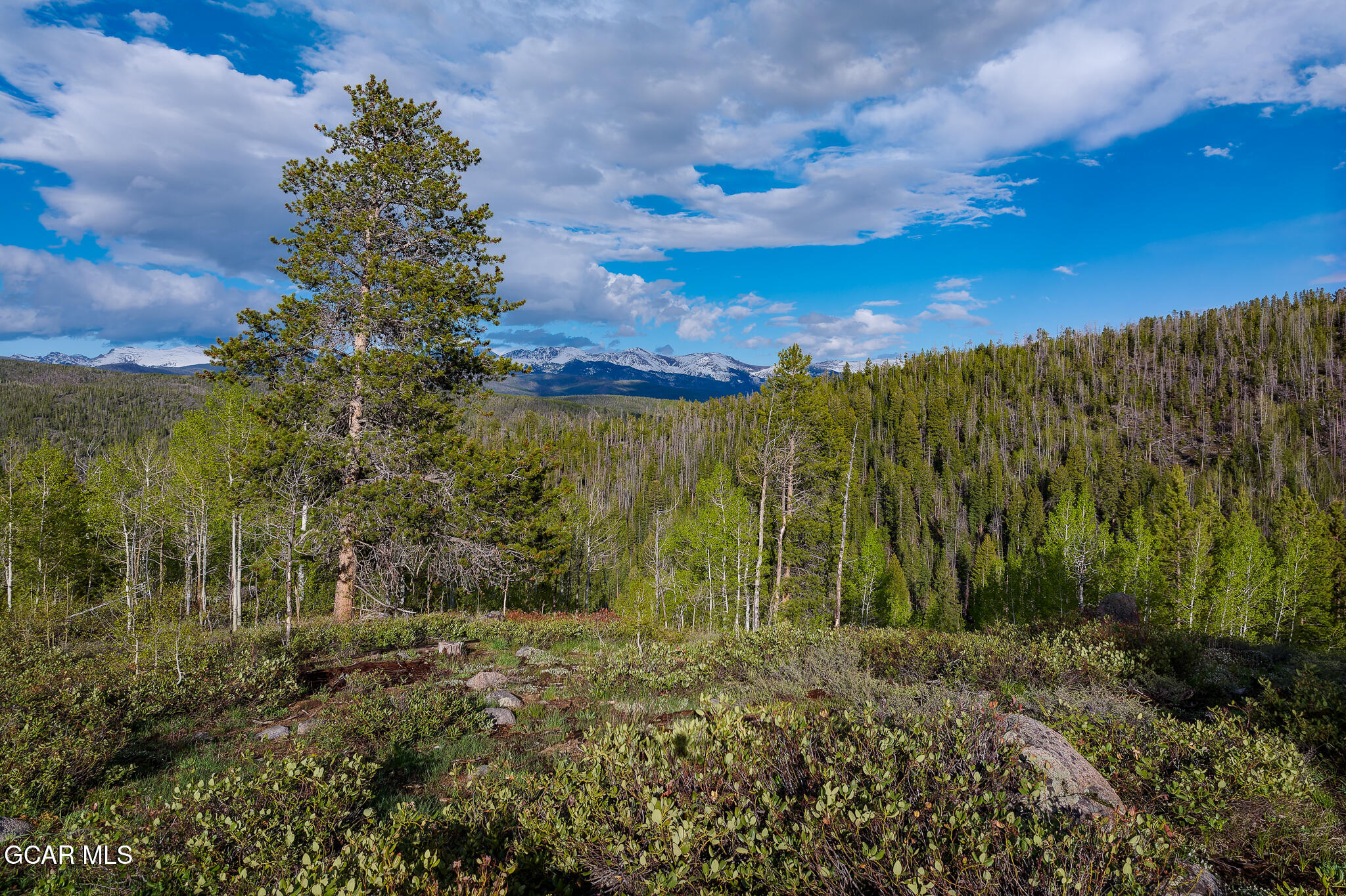 Tbd 8524 Elk Run Drive Tabernash CO 80478
