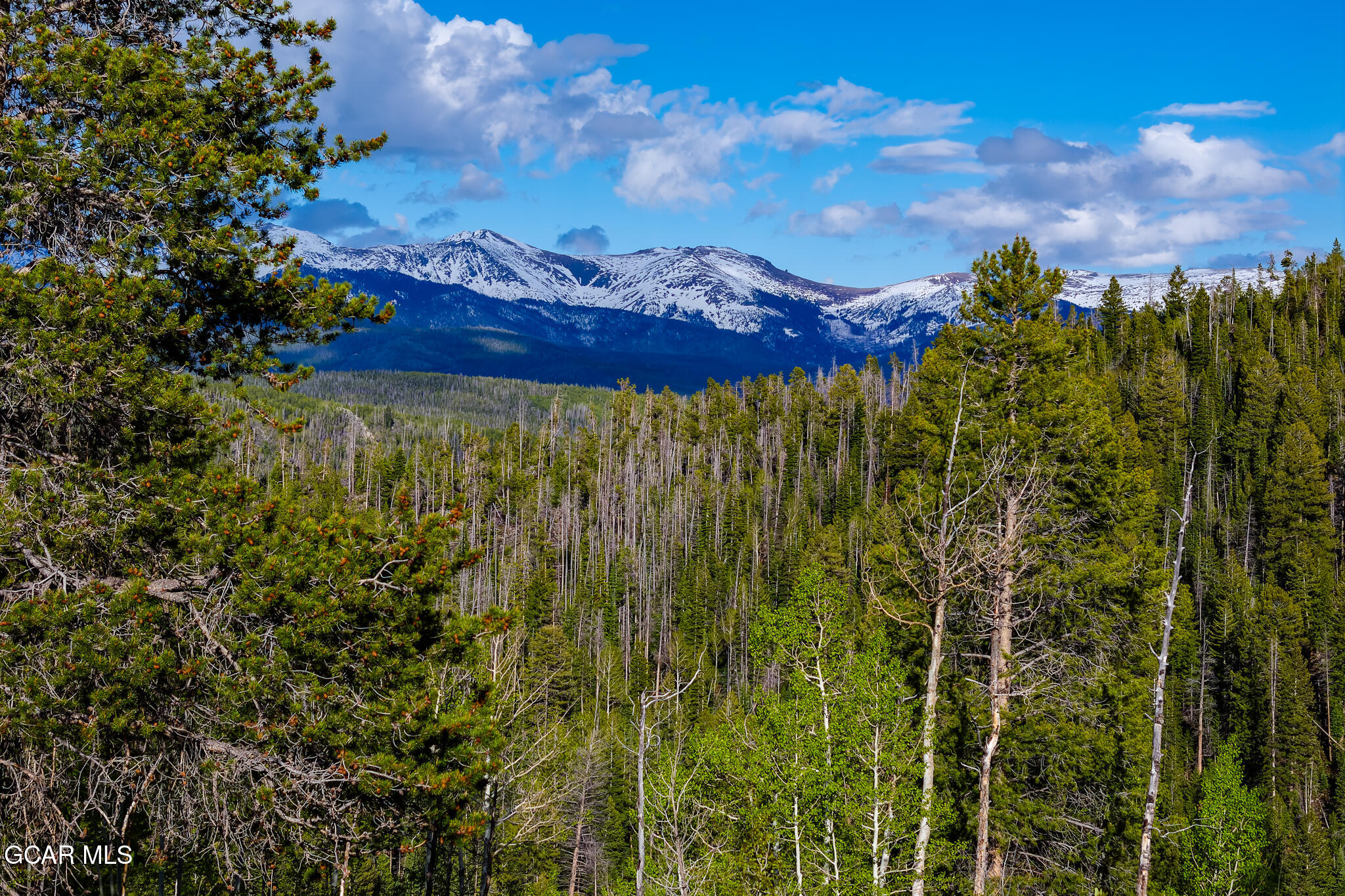 Tbd 8524 Elk Run Drive Tabernash CO 80478