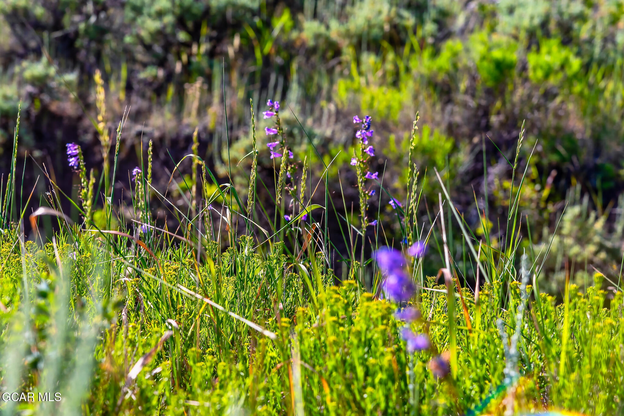 400 GCR 22313 Kremmling CO 80459