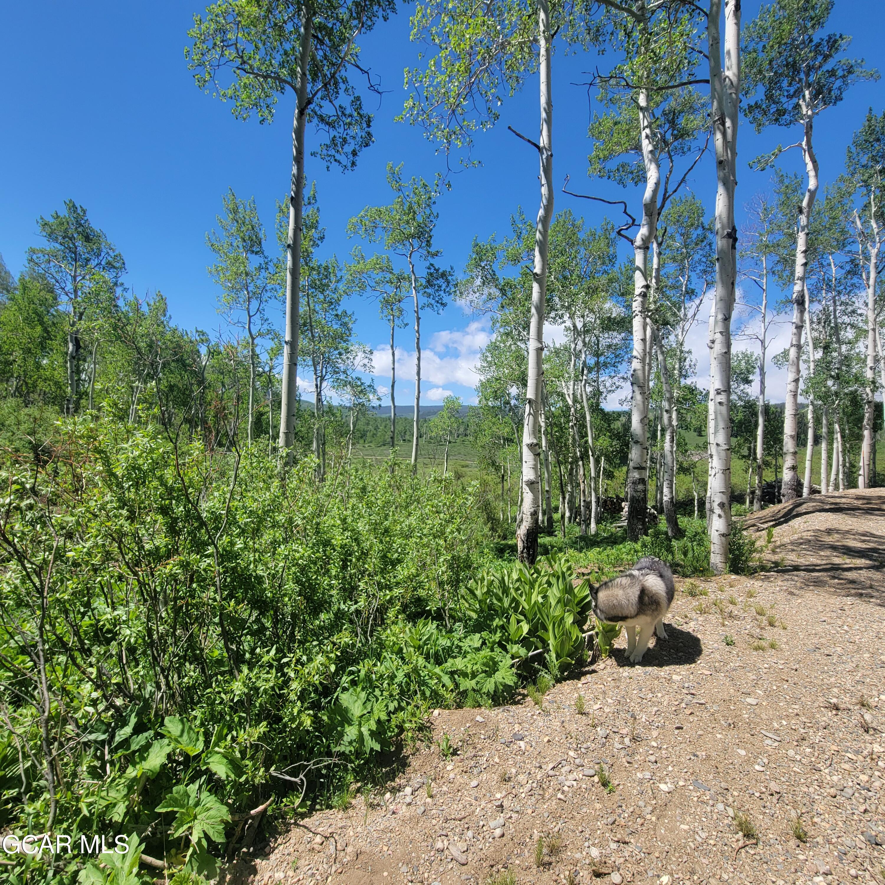 416 GCR 283 Kremmling CO 80459