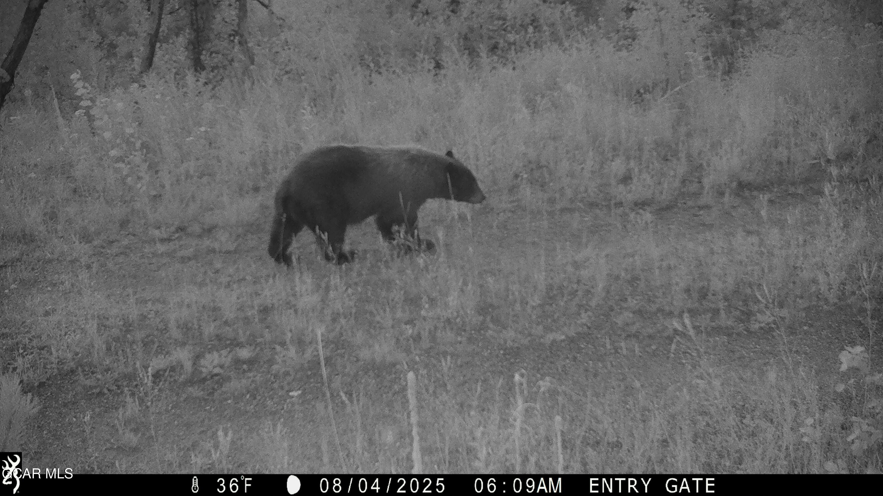 Parshall CO 80468