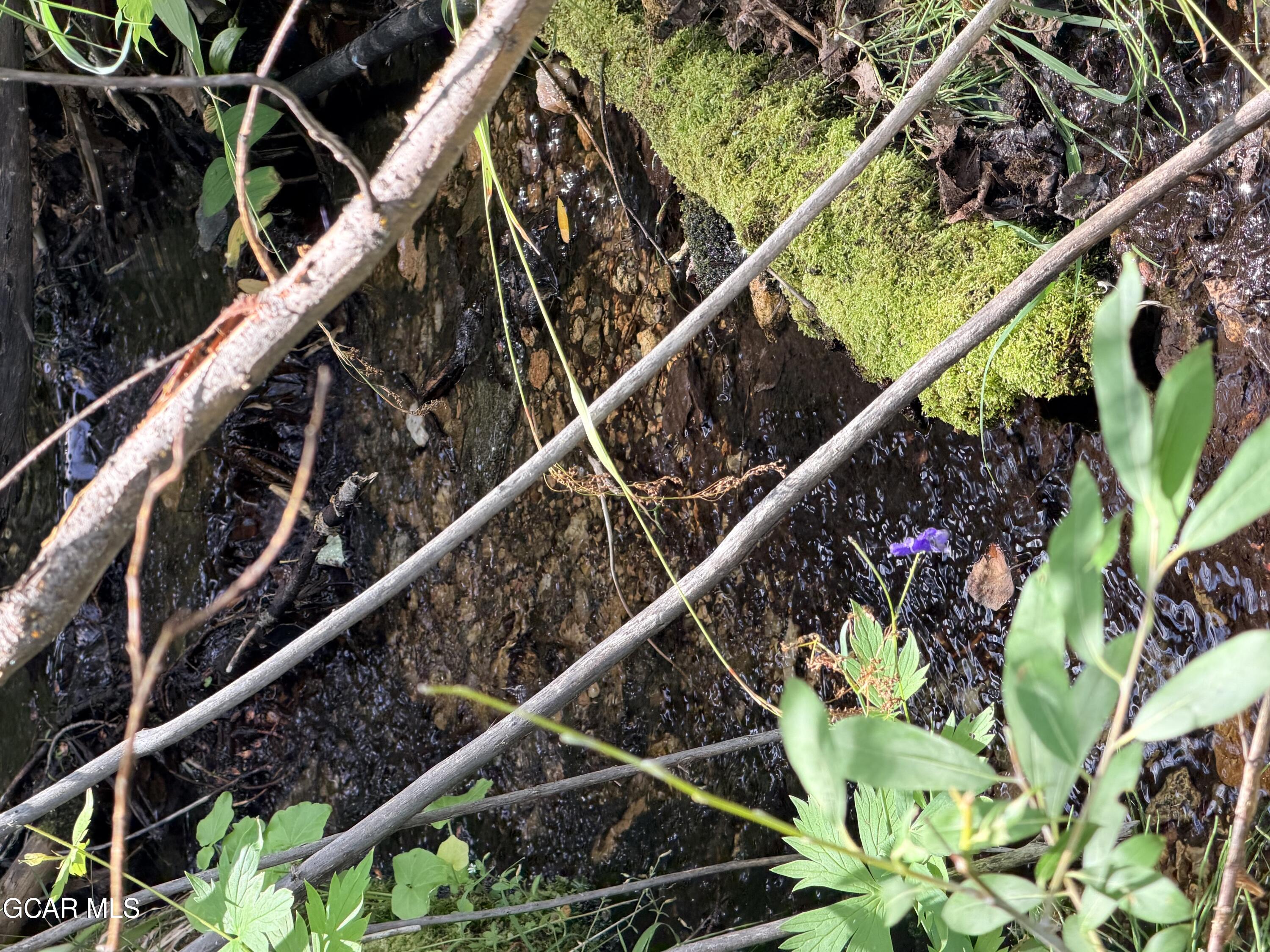 Parshall CO 80468