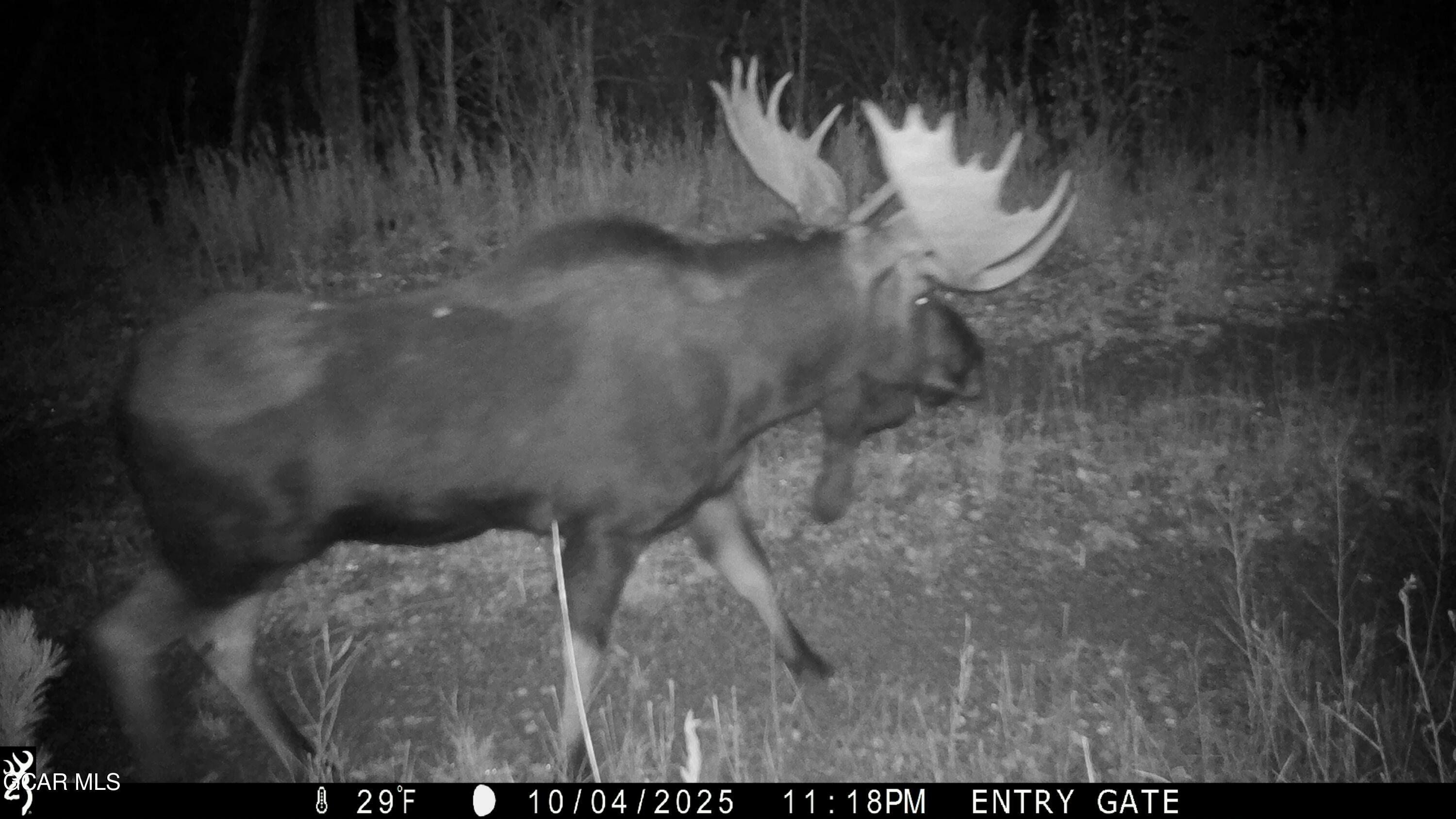 Parshall CO 80468