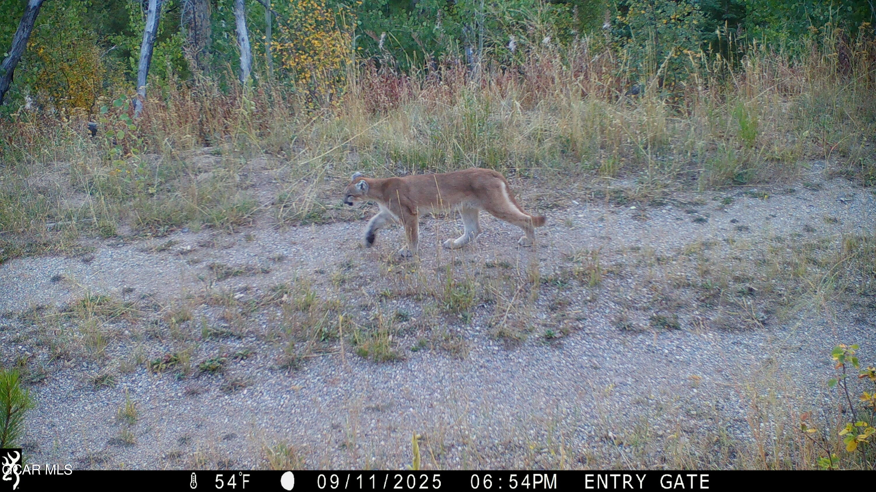 Parshall CO 80468