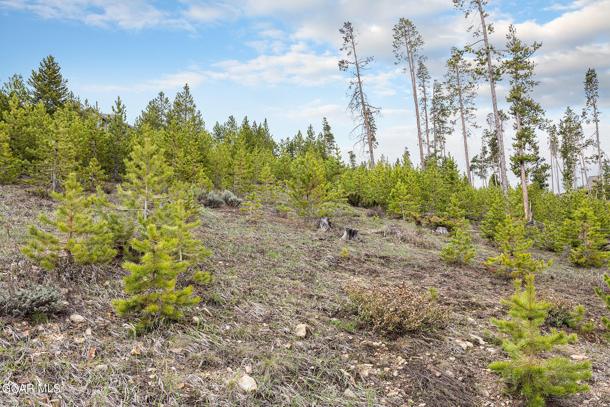 510 Shoshoni Lane Granby CO 80446