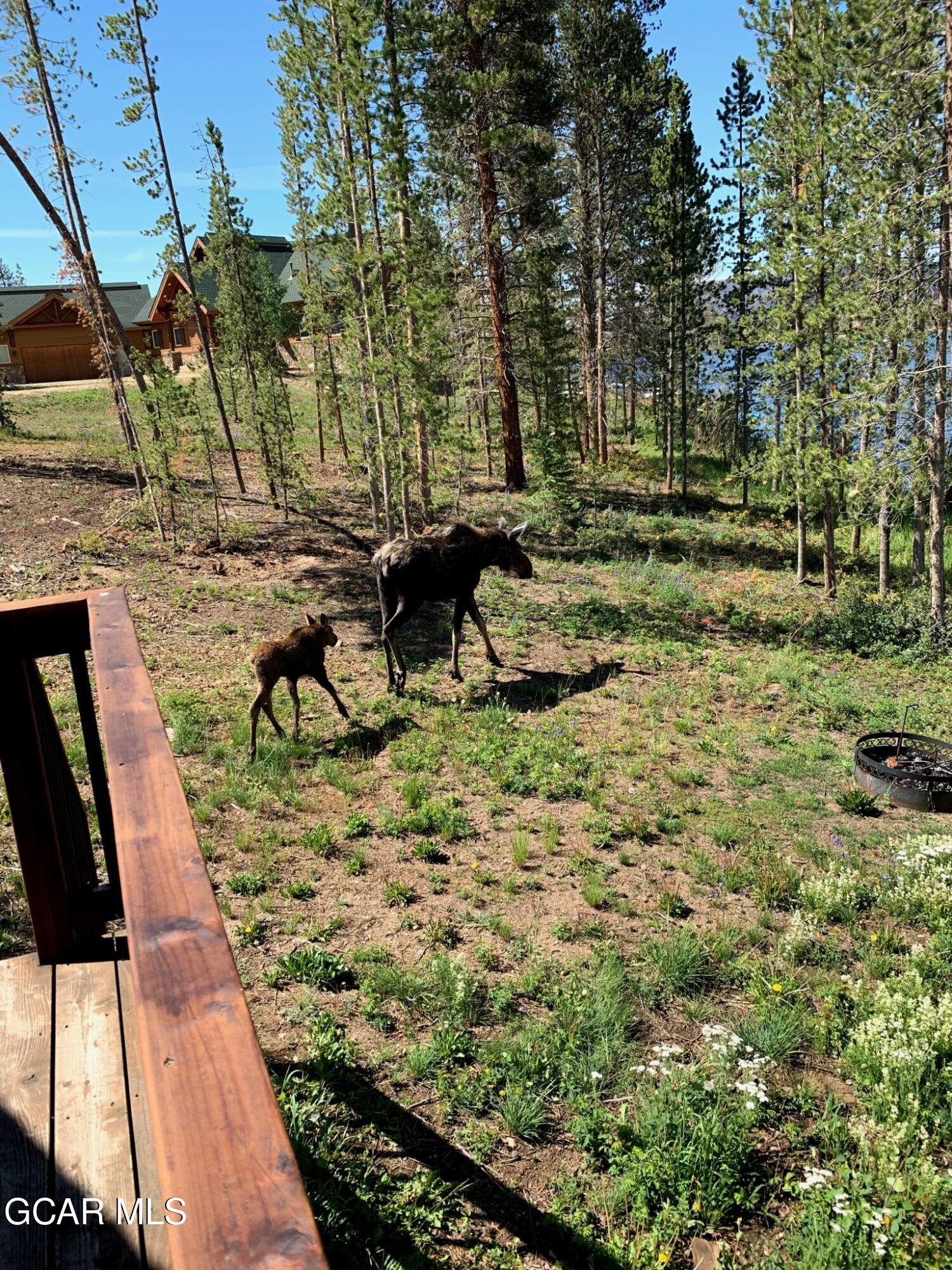 110 GCR 4933 Grand Lake CO 80447