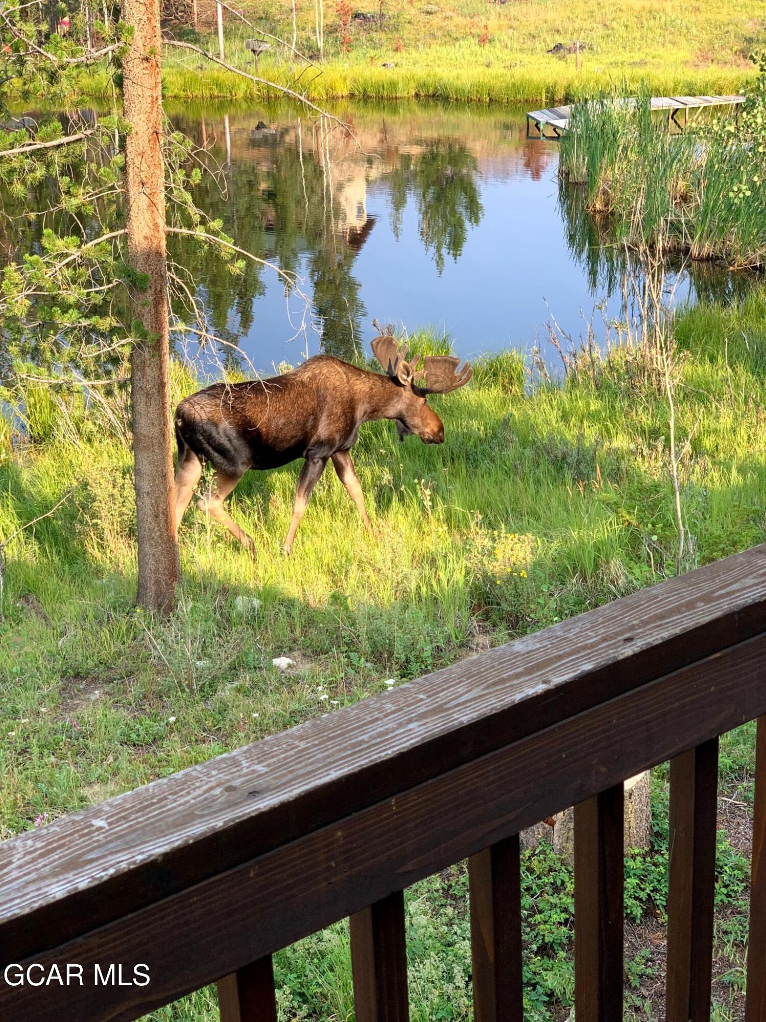 110 GCR 4933 Grand Lake CO 80447