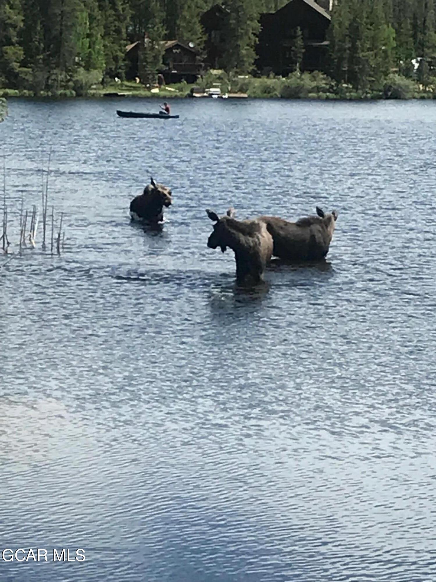 110 GCR 4933 Grand Lake CO 80447