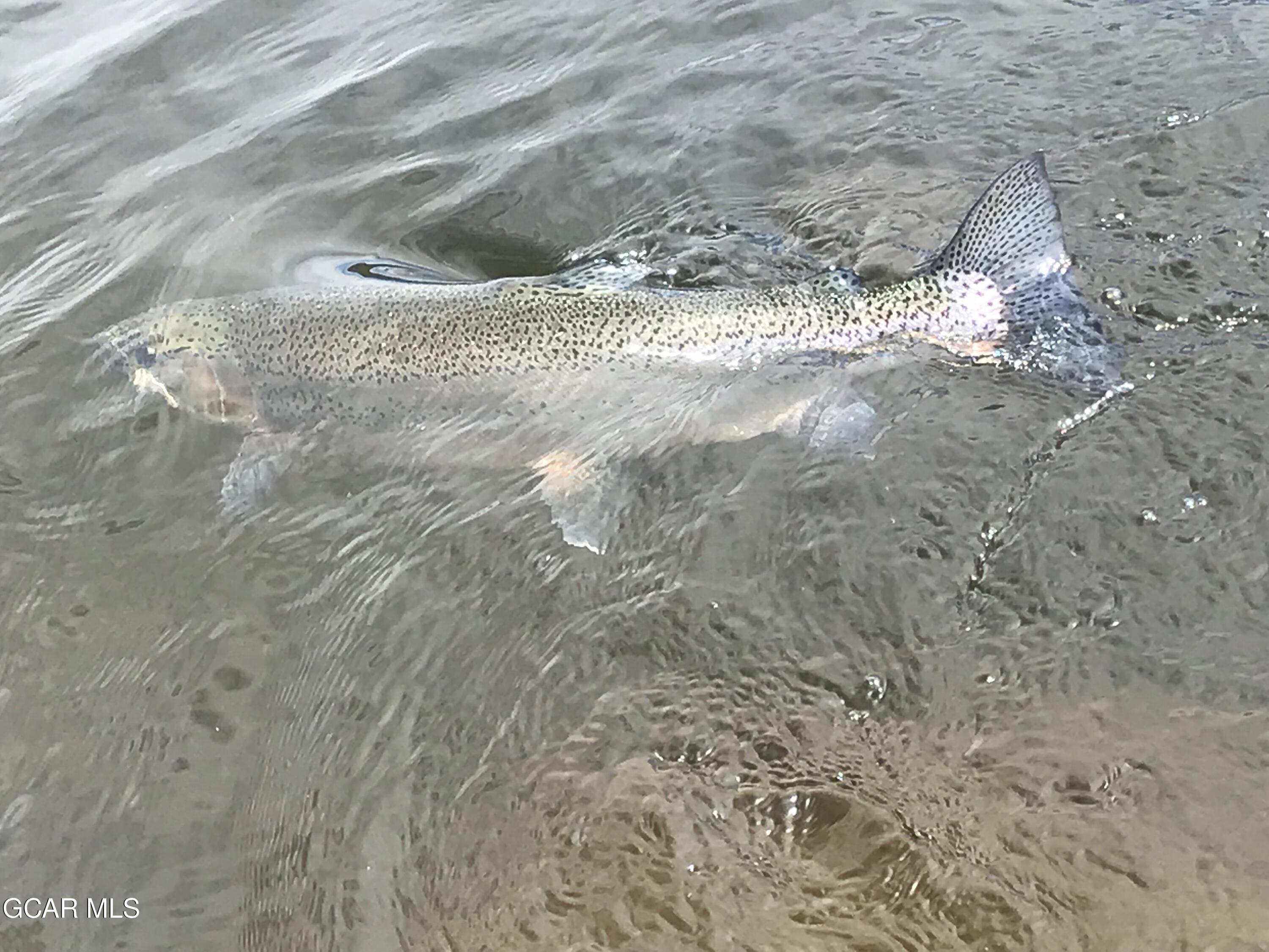 110 GCR 4933 Grand Lake CO 80447