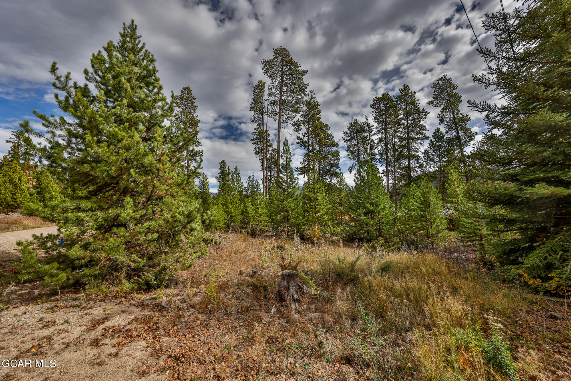 88 Leewood Road Grand Lake CO 80447