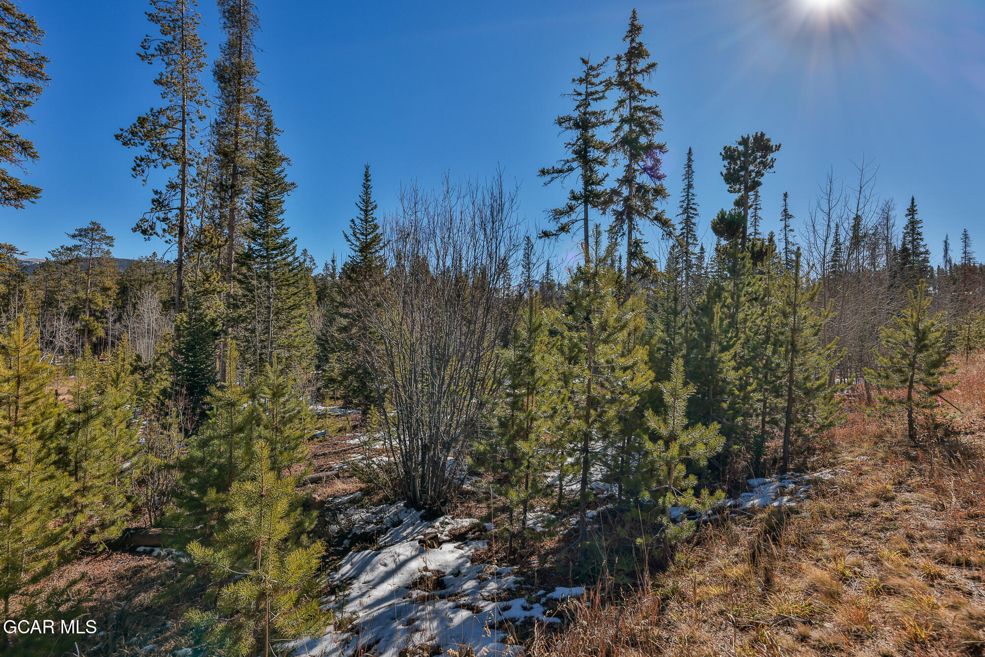 782 Leland Creek Circle Winter Park CO 80482