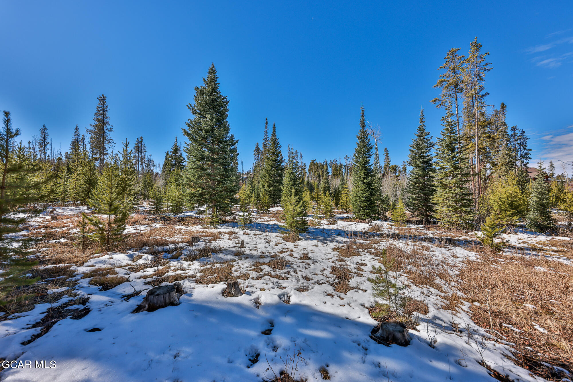 782 Leland Creek Circle Winter Park CO 80482