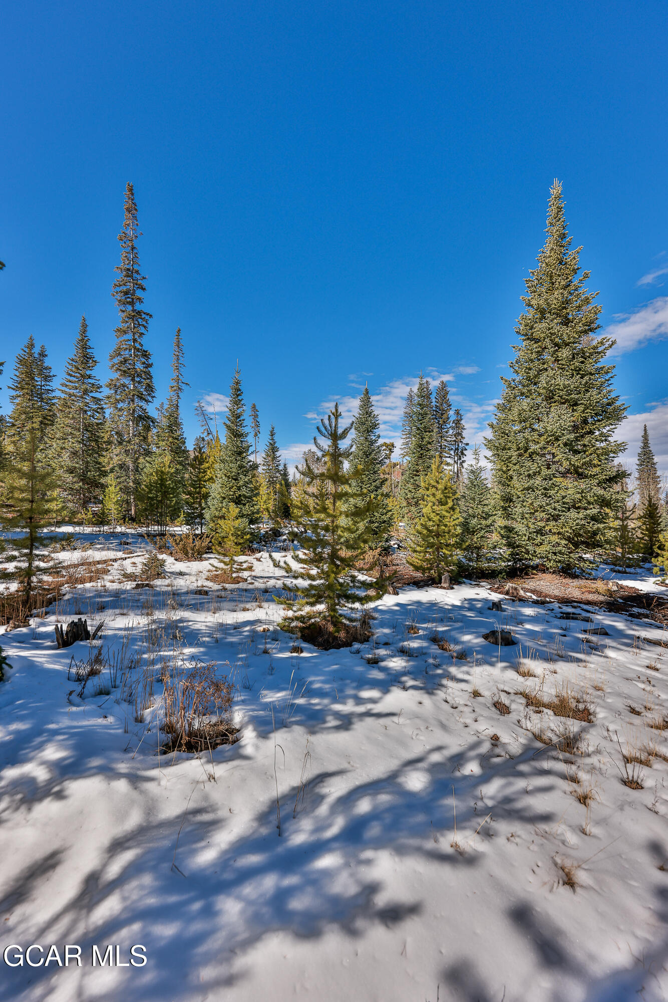 782 Leland Creek Circle Winter Park CO 80482