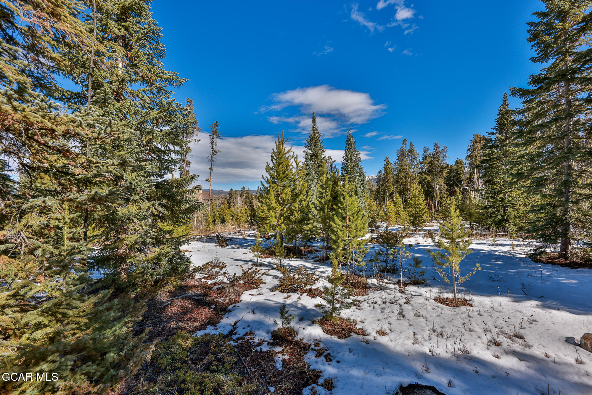 782 Leland Creek Circle Winter Park CO 80482