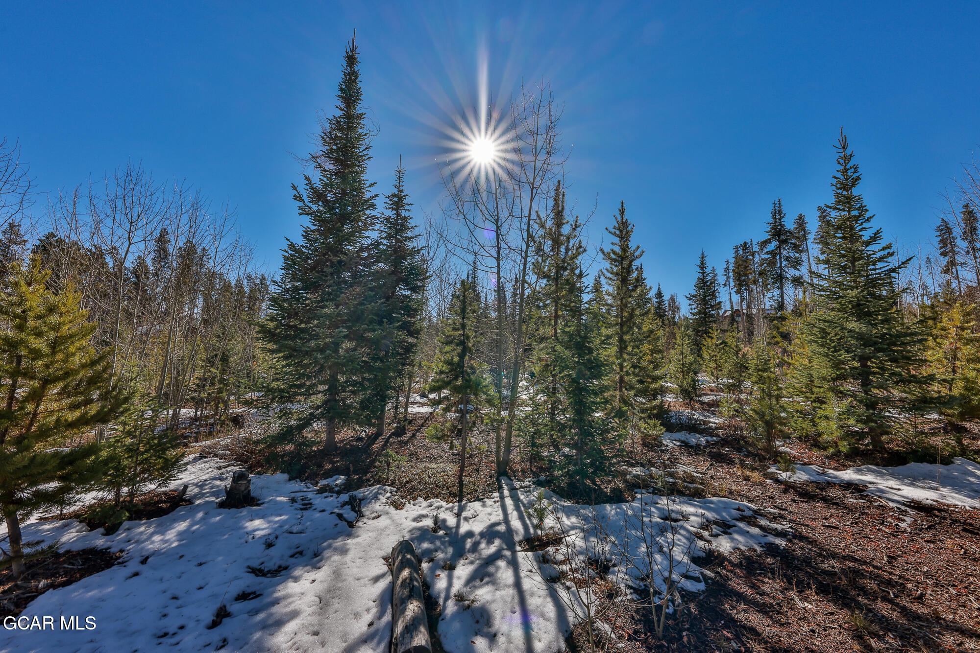 782 Leland Creek Circle Winter Park CO 80482