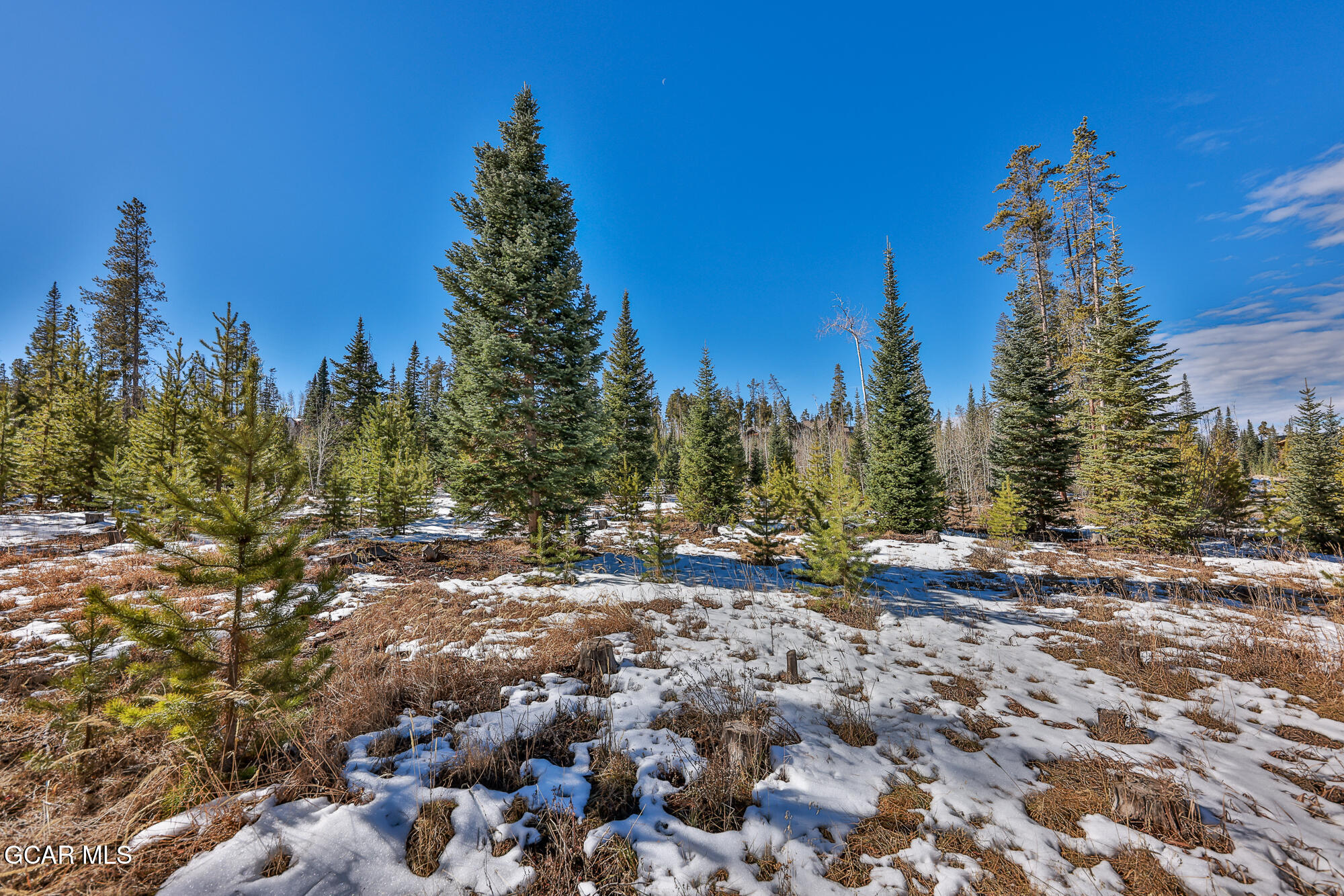 782 Leland Creek Circle Winter Park CO 80482