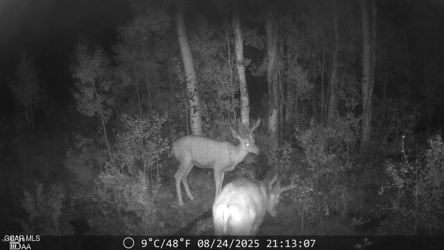 2940 County Road 41 Granby CO 80446