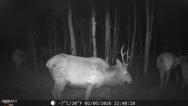 2940 County Road 41 Granby CO 80446