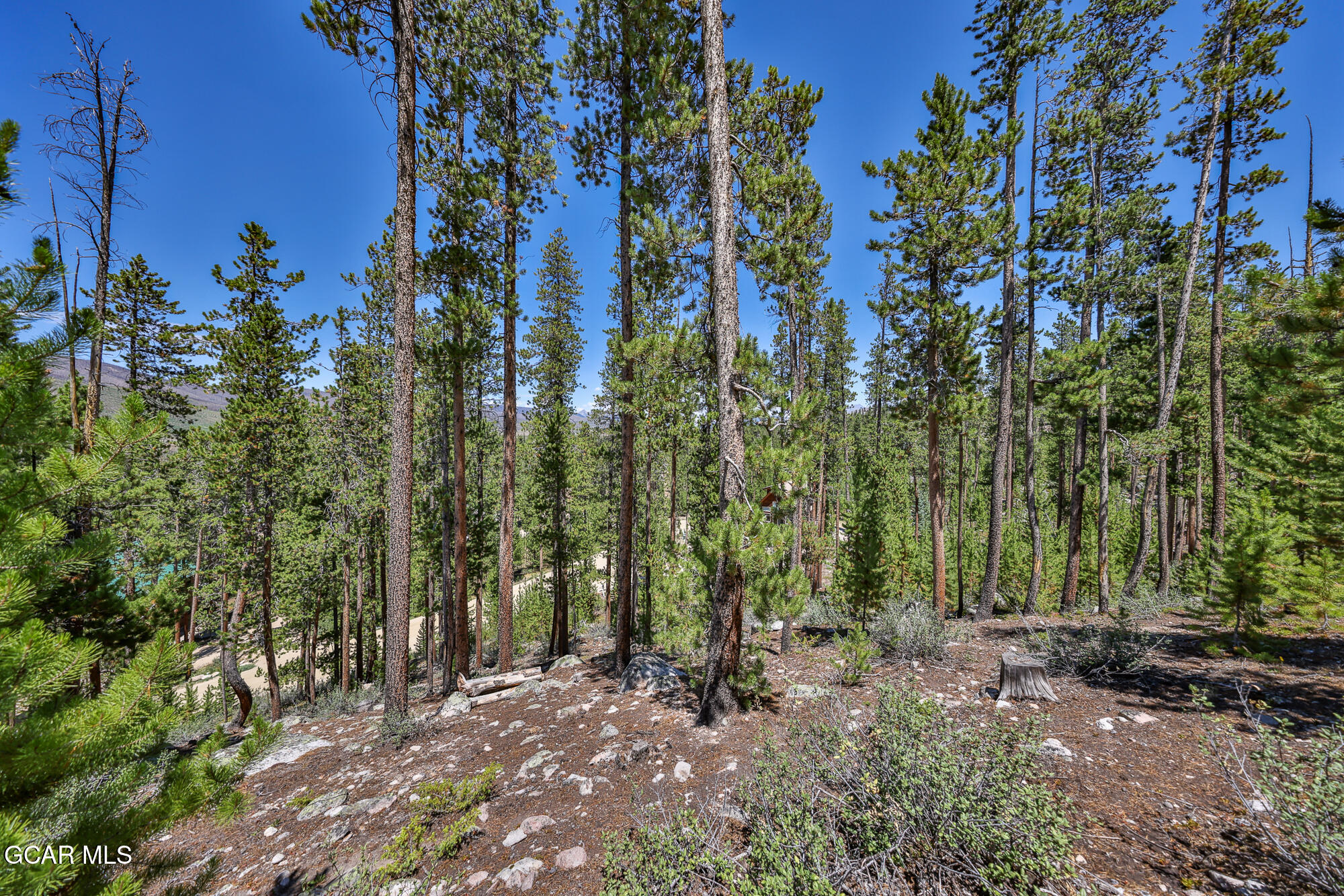 714 County Road 4632 Grand Lake CO 80447