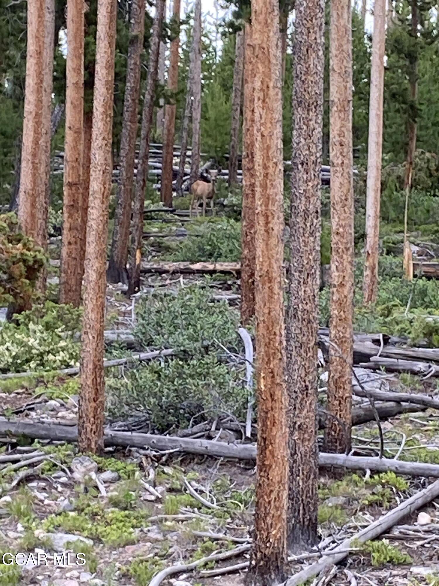 54 GCR 4658 Grand Lake CO 80447